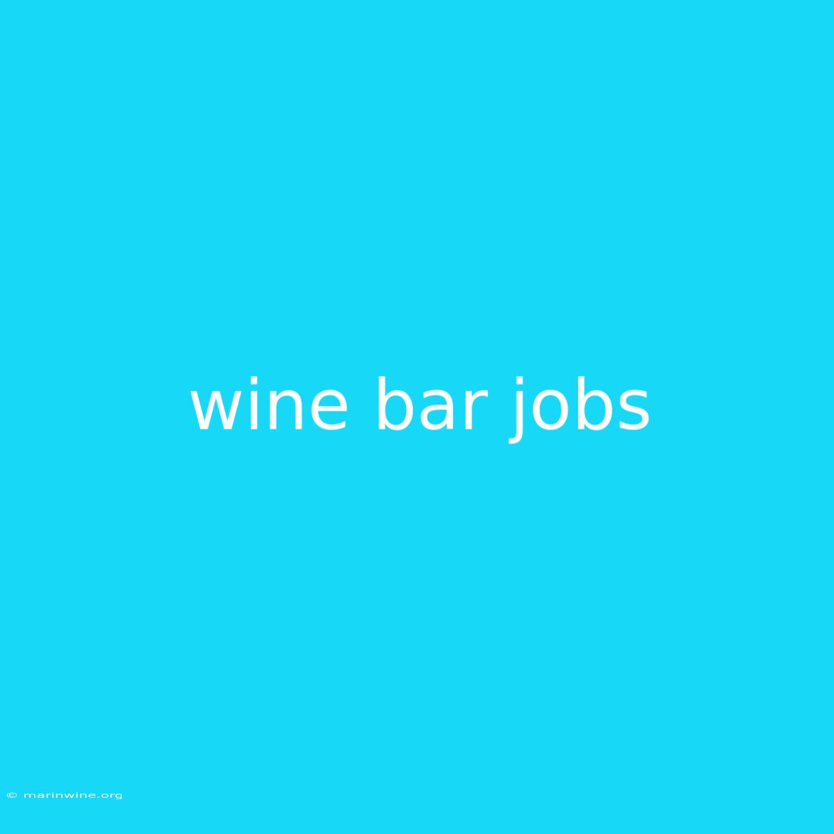 Wine Bar Jobs