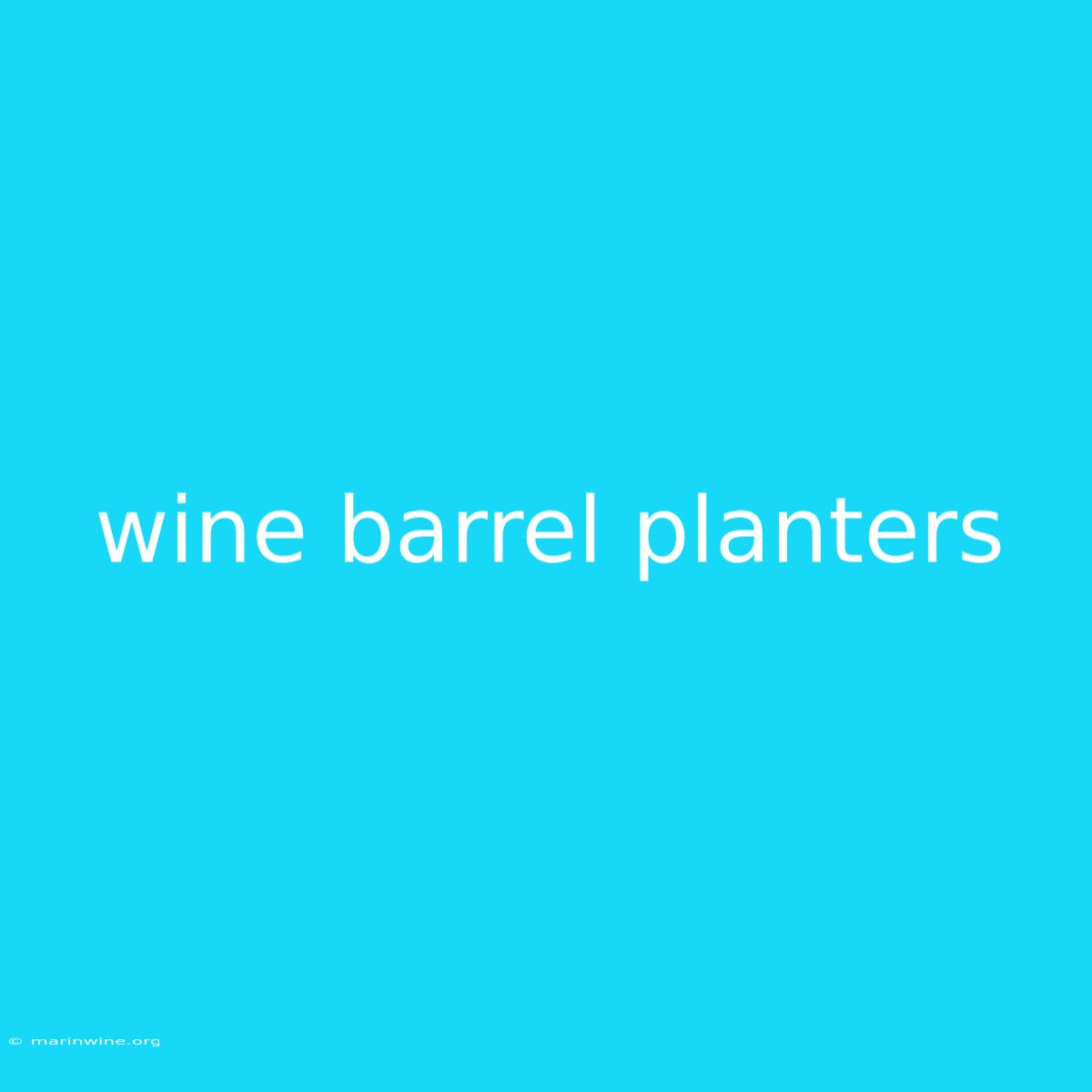 Wine Barrel Planters