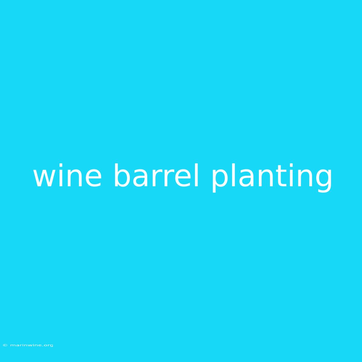 Wine Barrel Planting