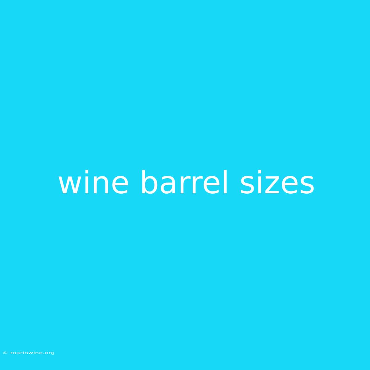 Wine Barrel Sizes