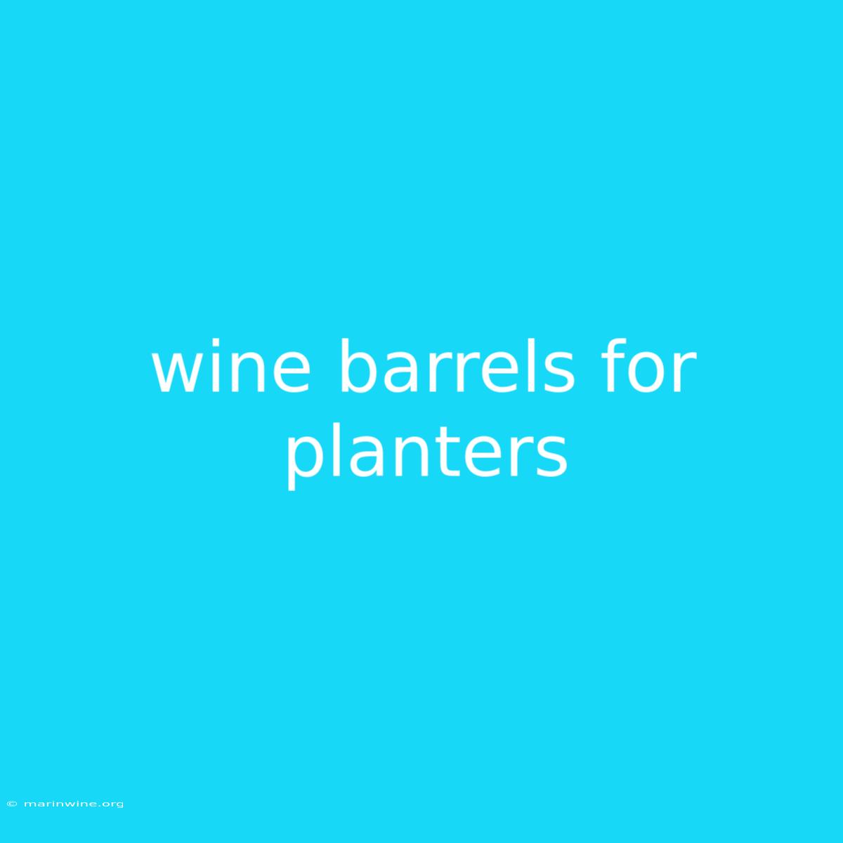 Wine Barrels For Planters