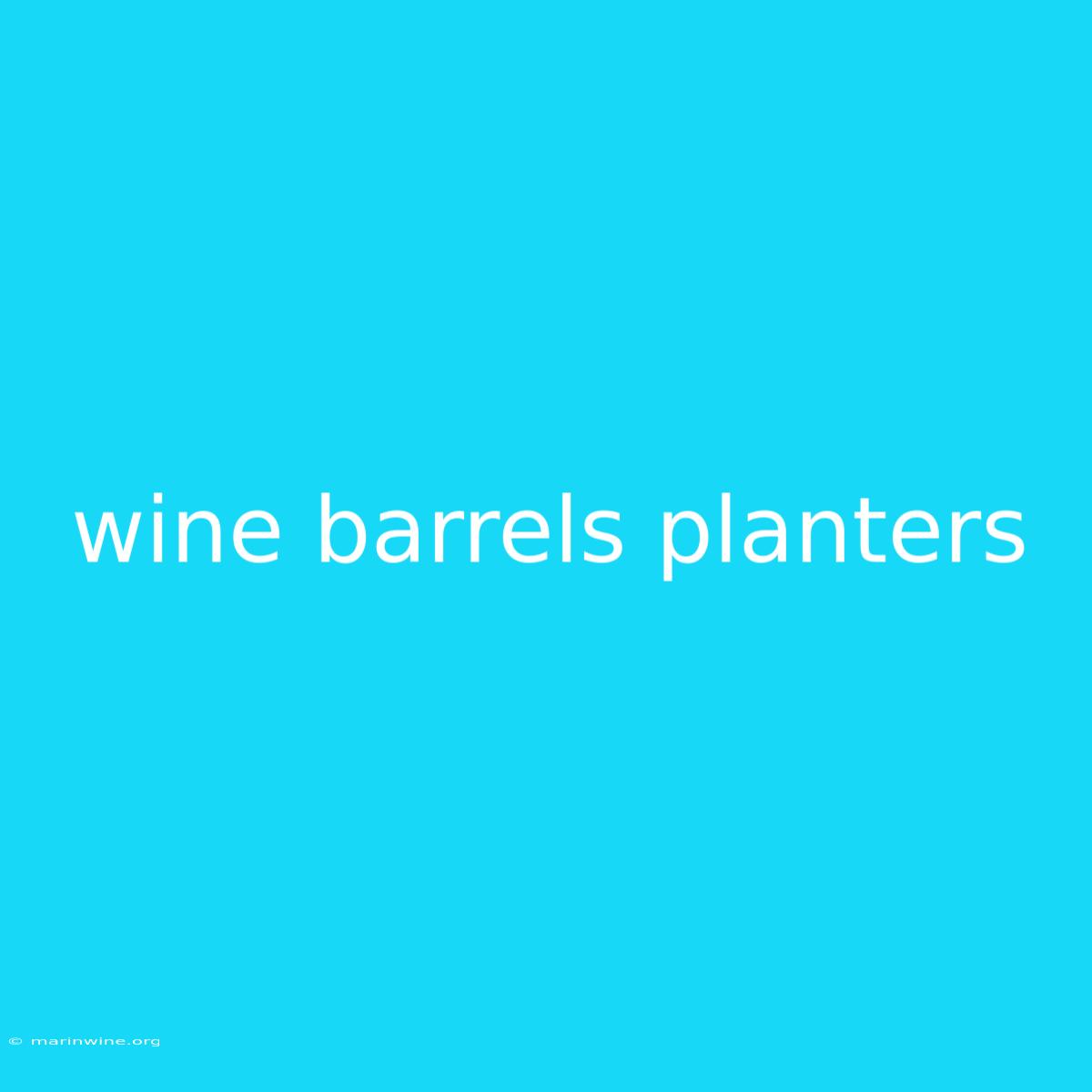 Wine Barrels Planters