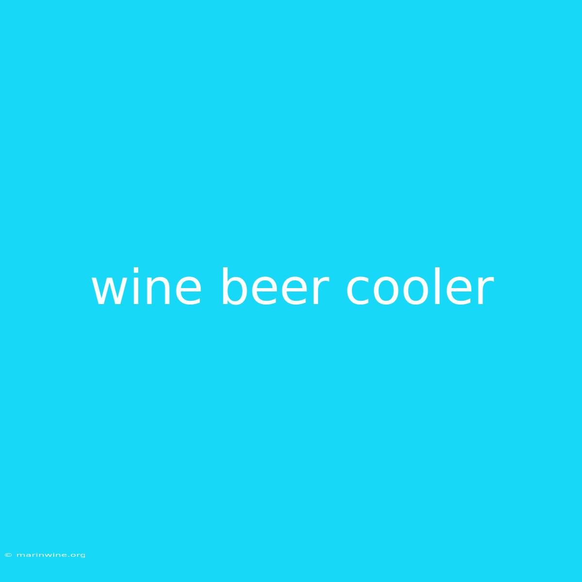 Wine Beer Cooler