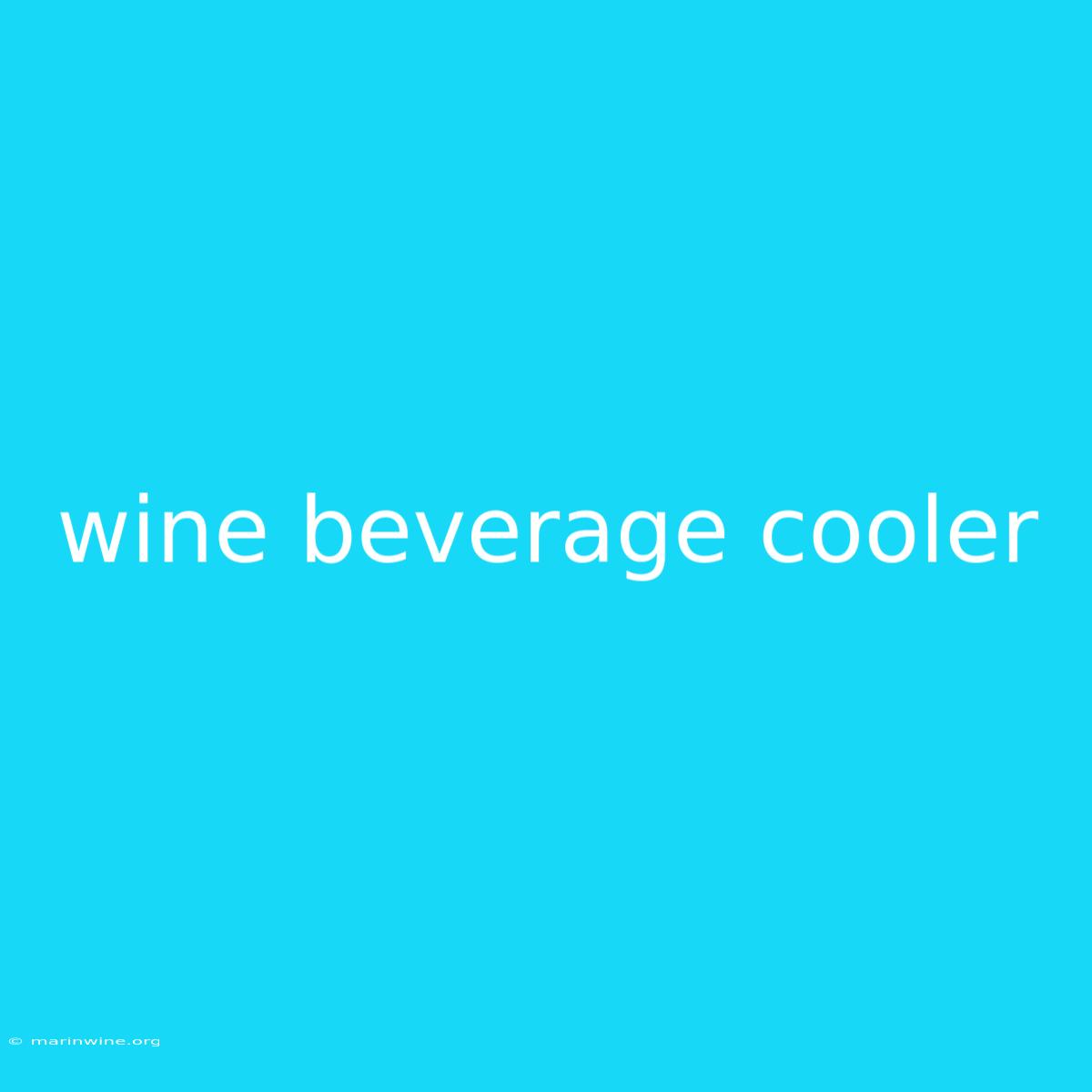 Wine Beverage Cooler