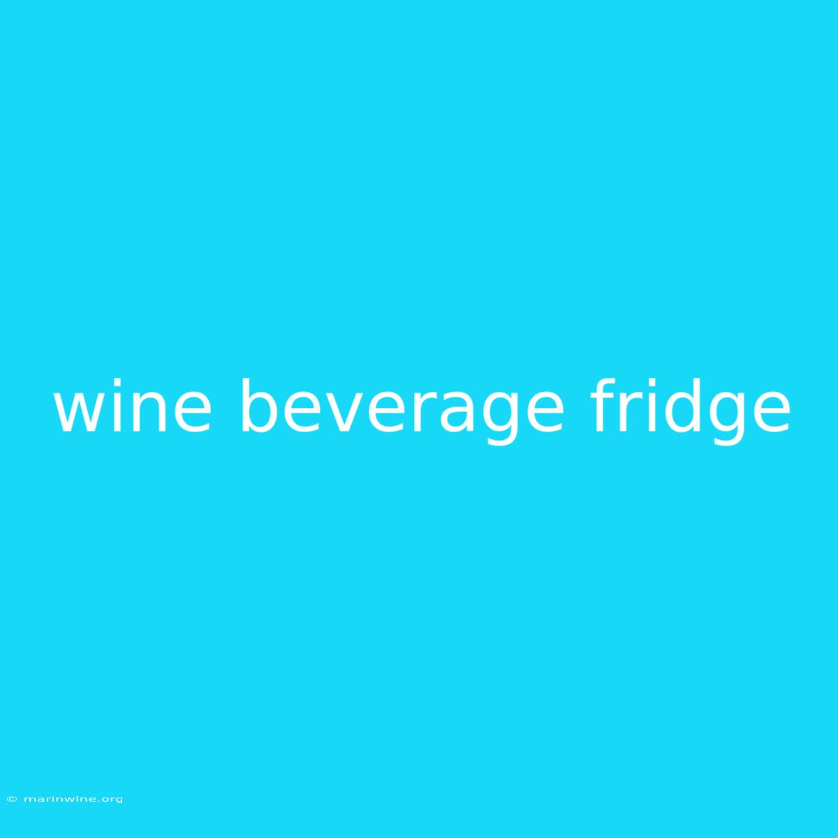 Wine Beverage Fridge