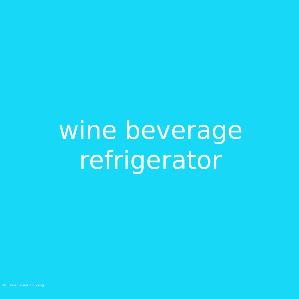 Wine Beverage Refrigerator