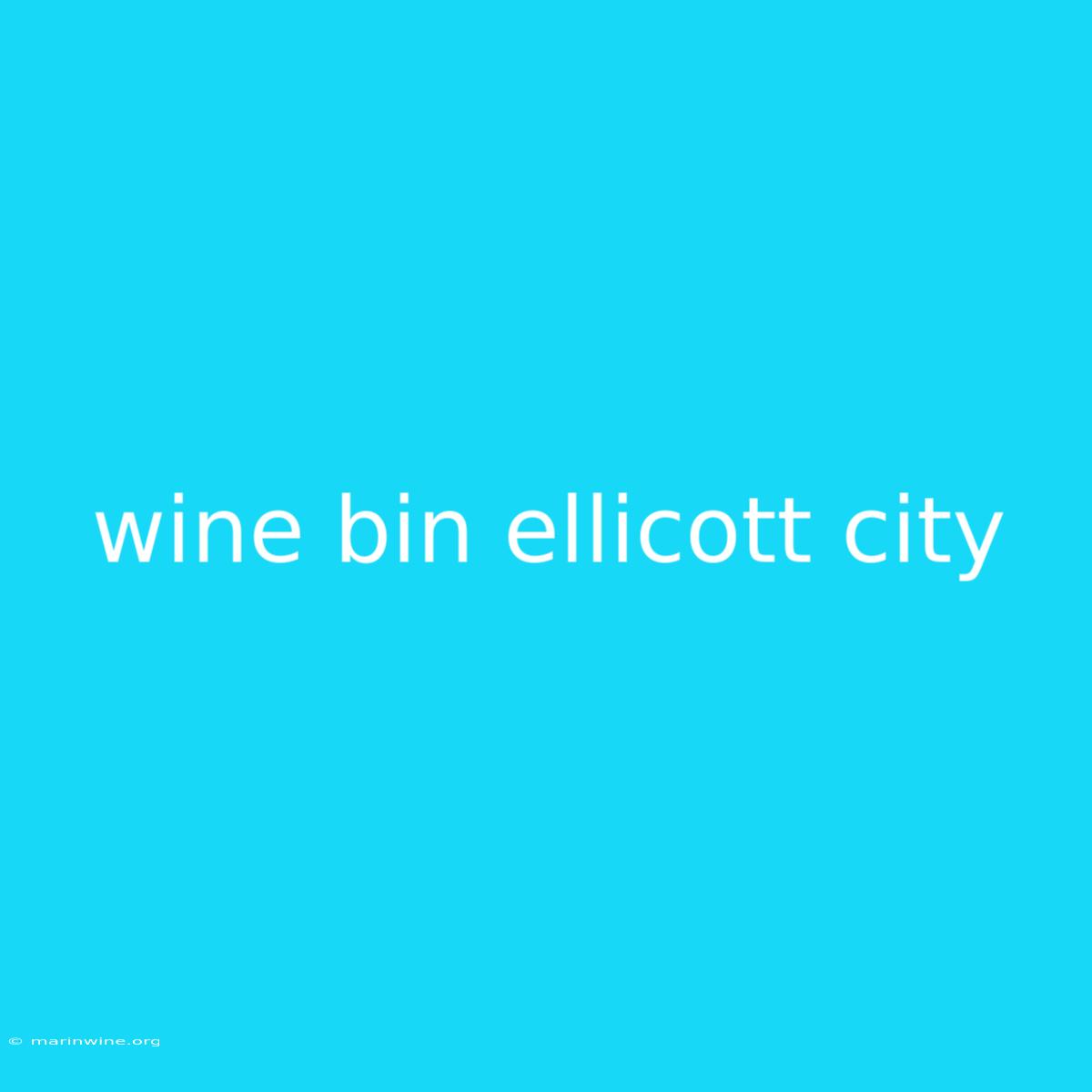 Wine Bin Ellicott City