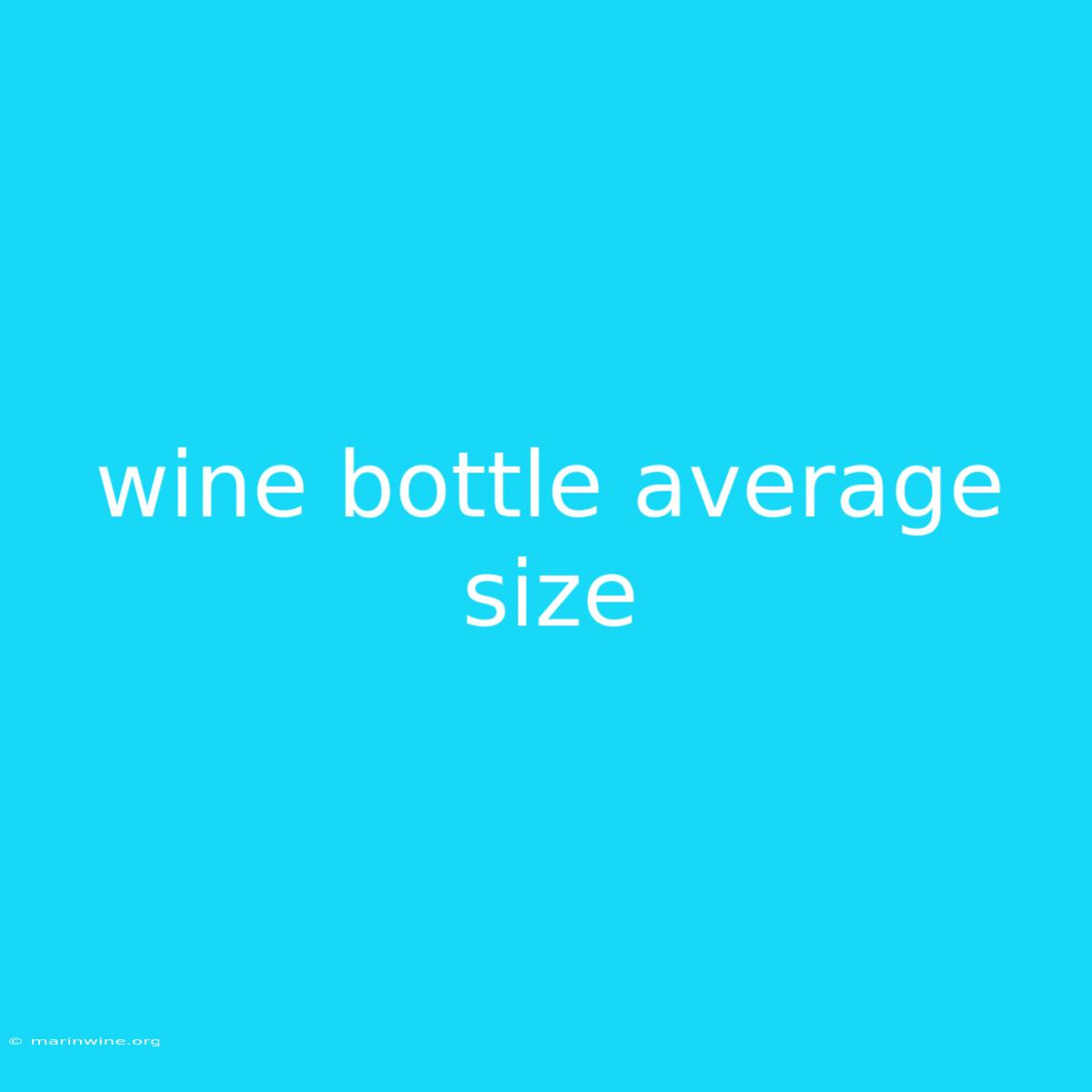 Wine Bottle Average Size