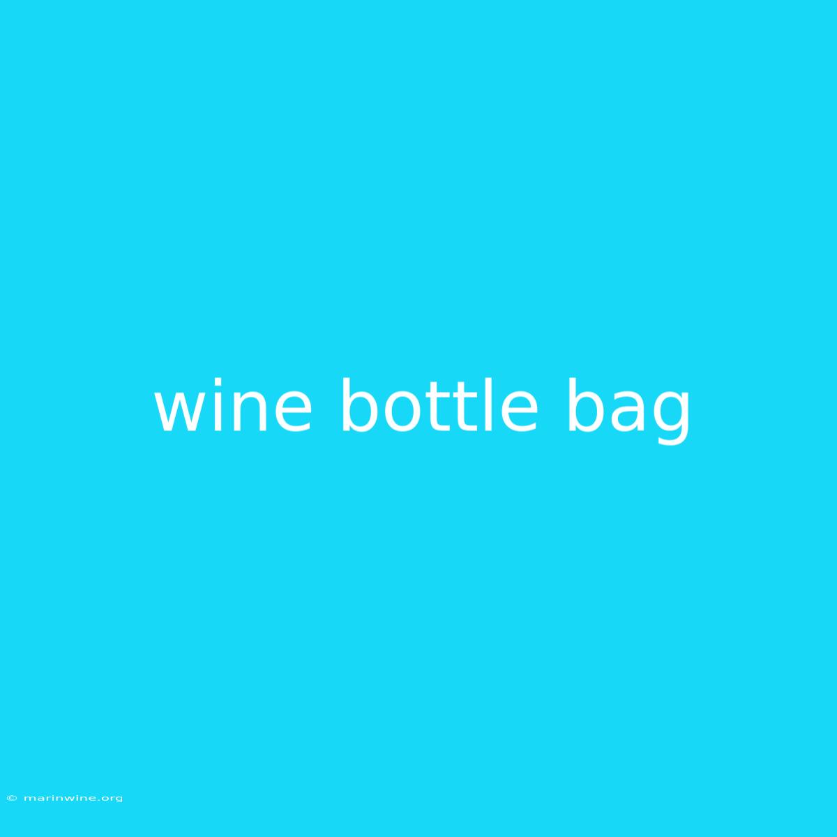 Wine Bottle Bag