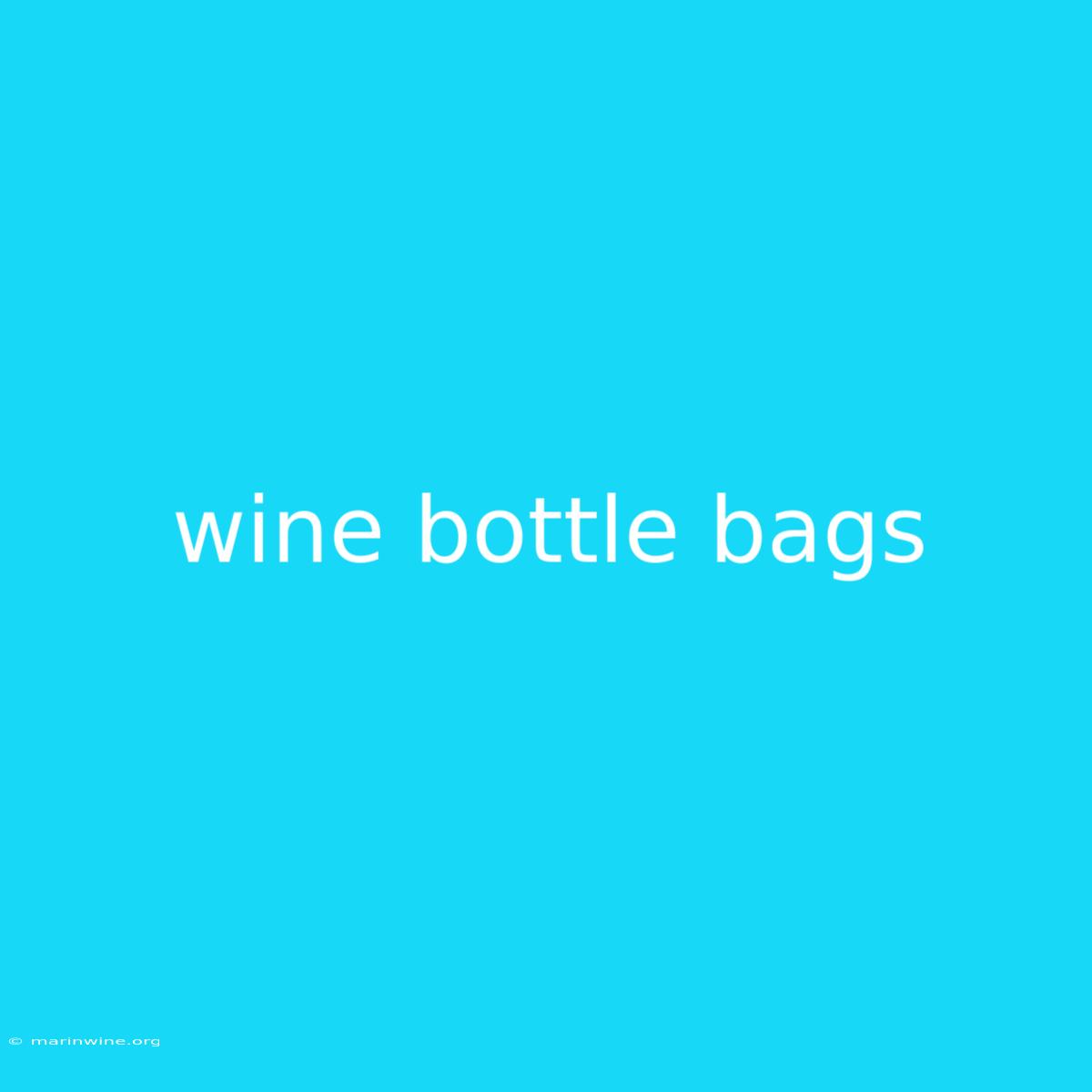 Wine Bottle Bags