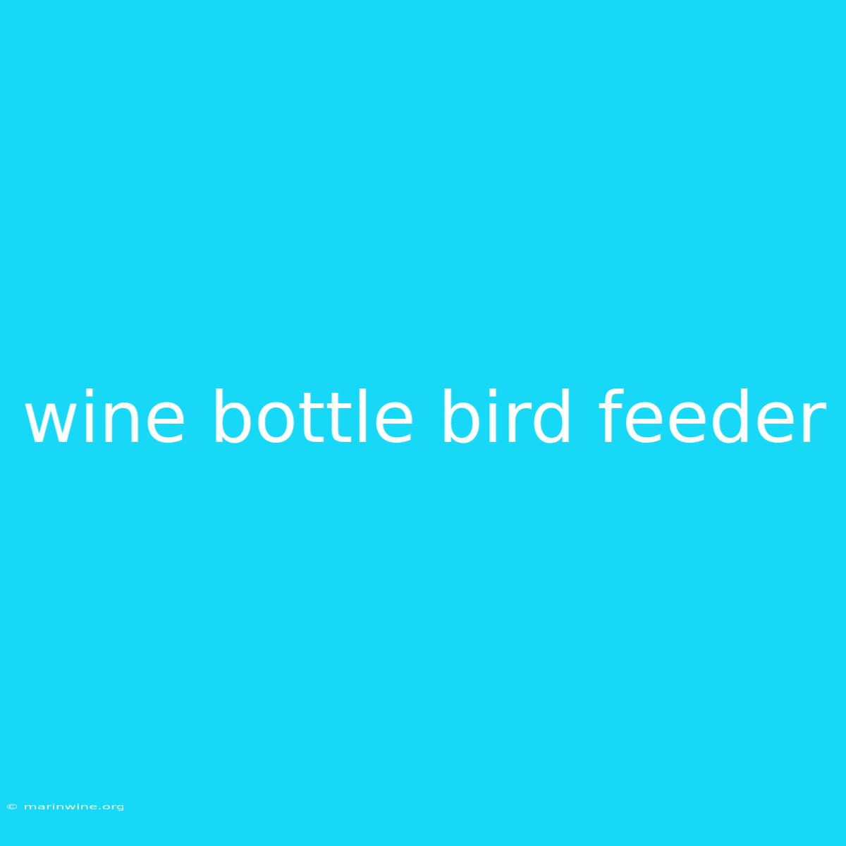 Wine Bottle Bird Feeder