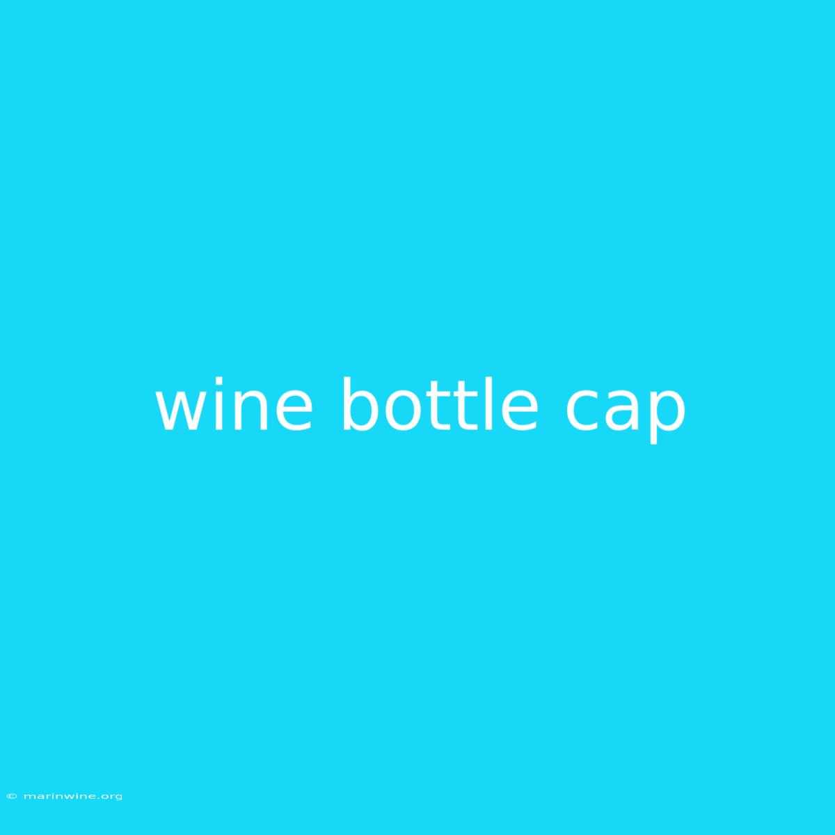 Wine Bottle Cap