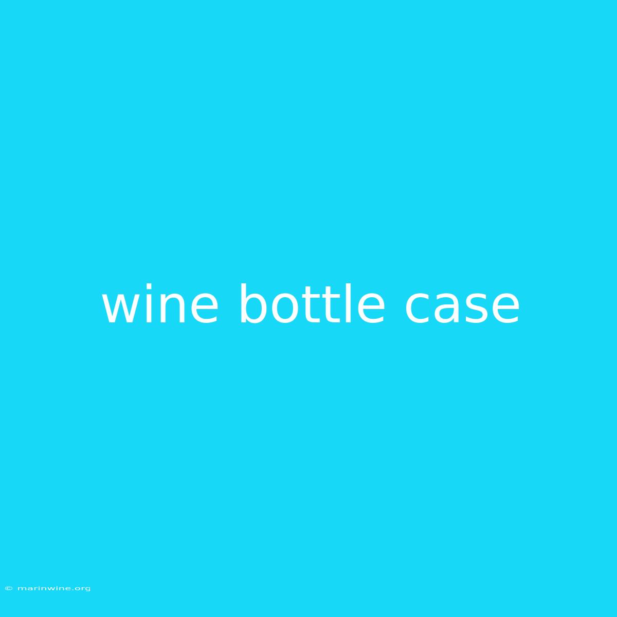 Wine Bottle Case