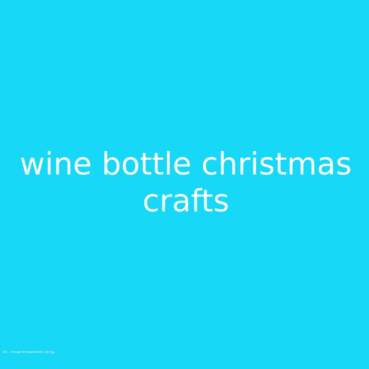 Wine Bottle Christmas Crafts