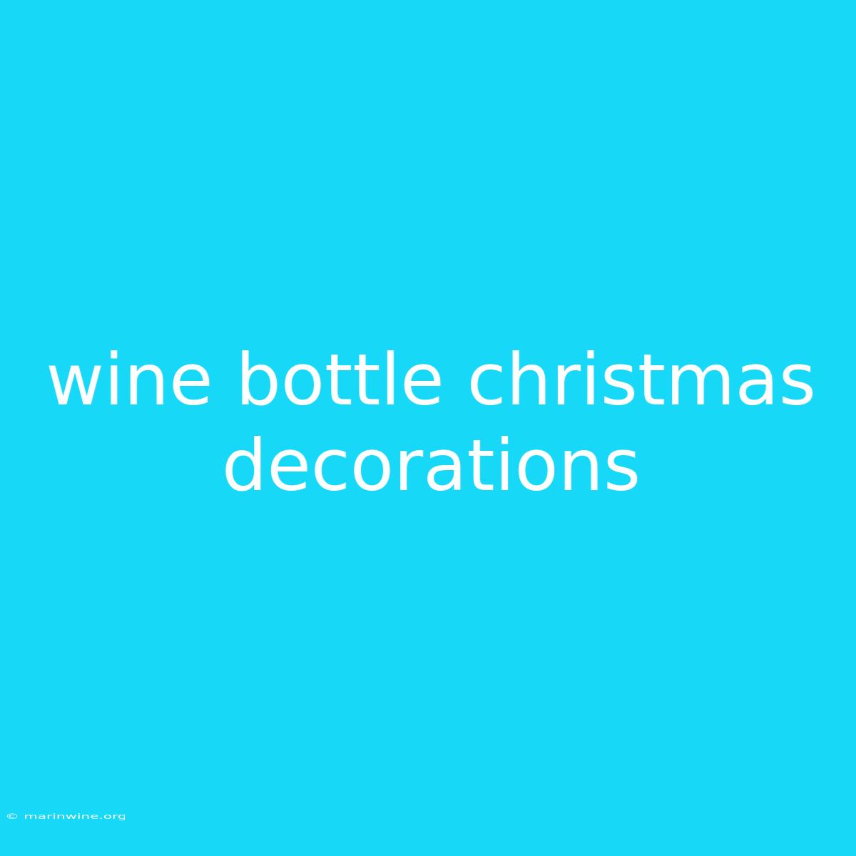 Wine Bottle Christmas Decorations