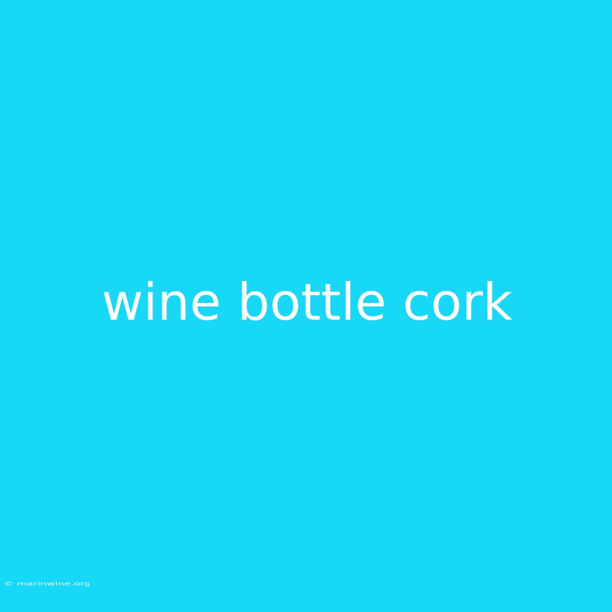 Wine Bottle Cork