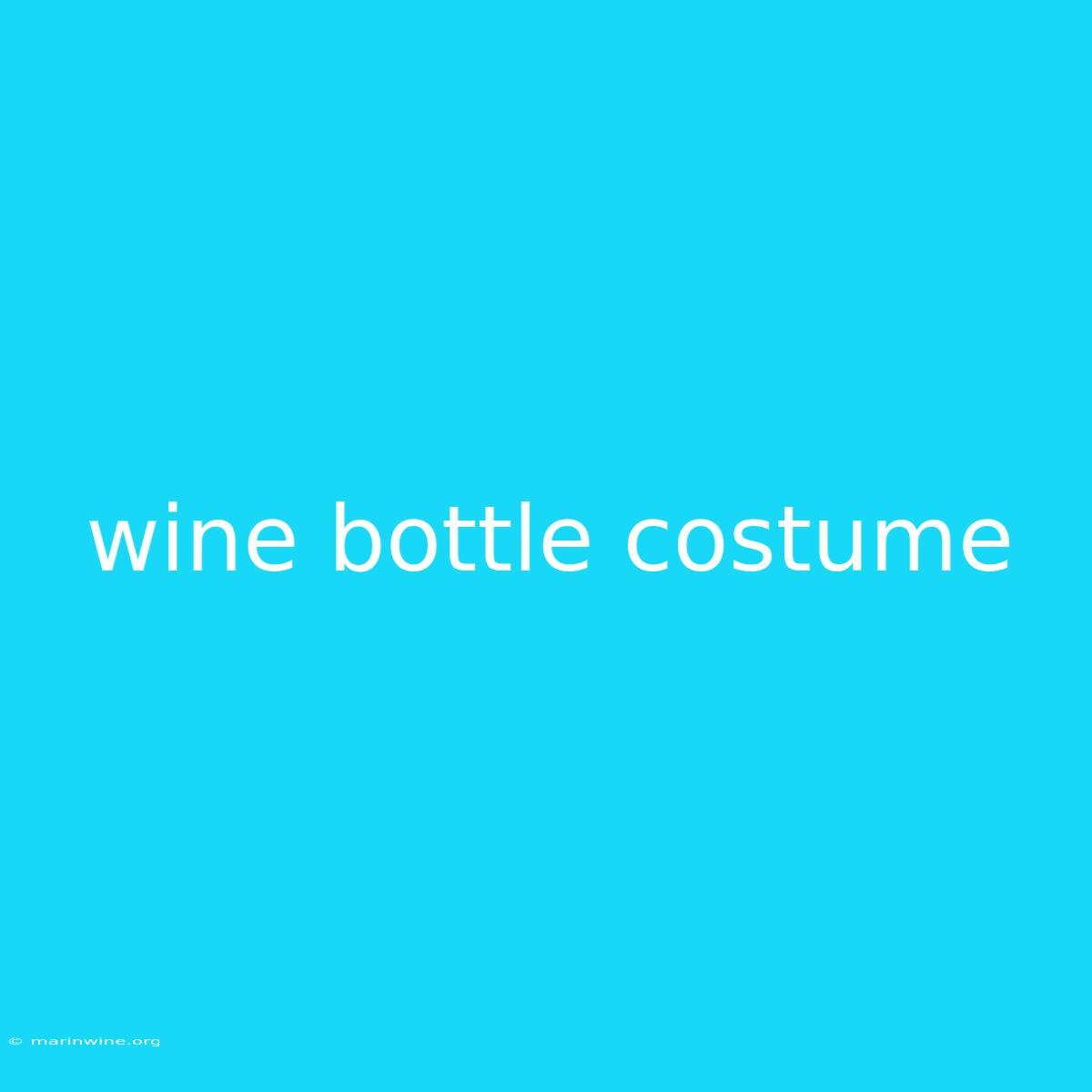 Wine Bottle Costume