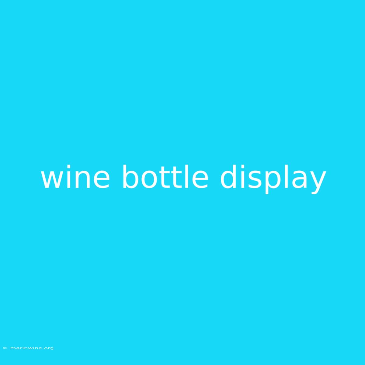 Wine Bottle Display