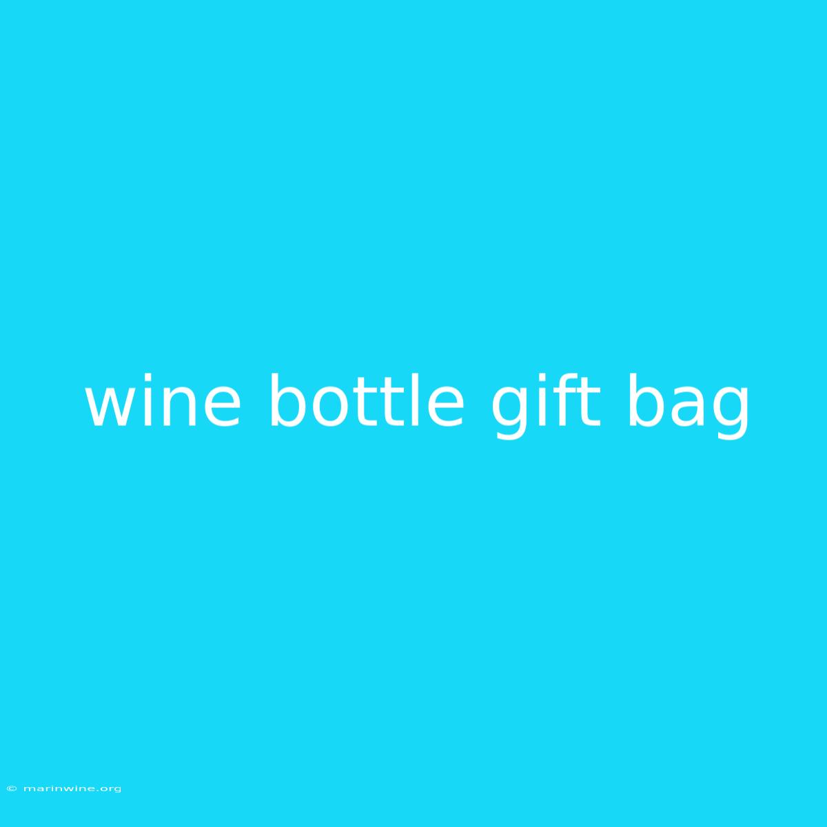 Wine Bottle Gift Bag