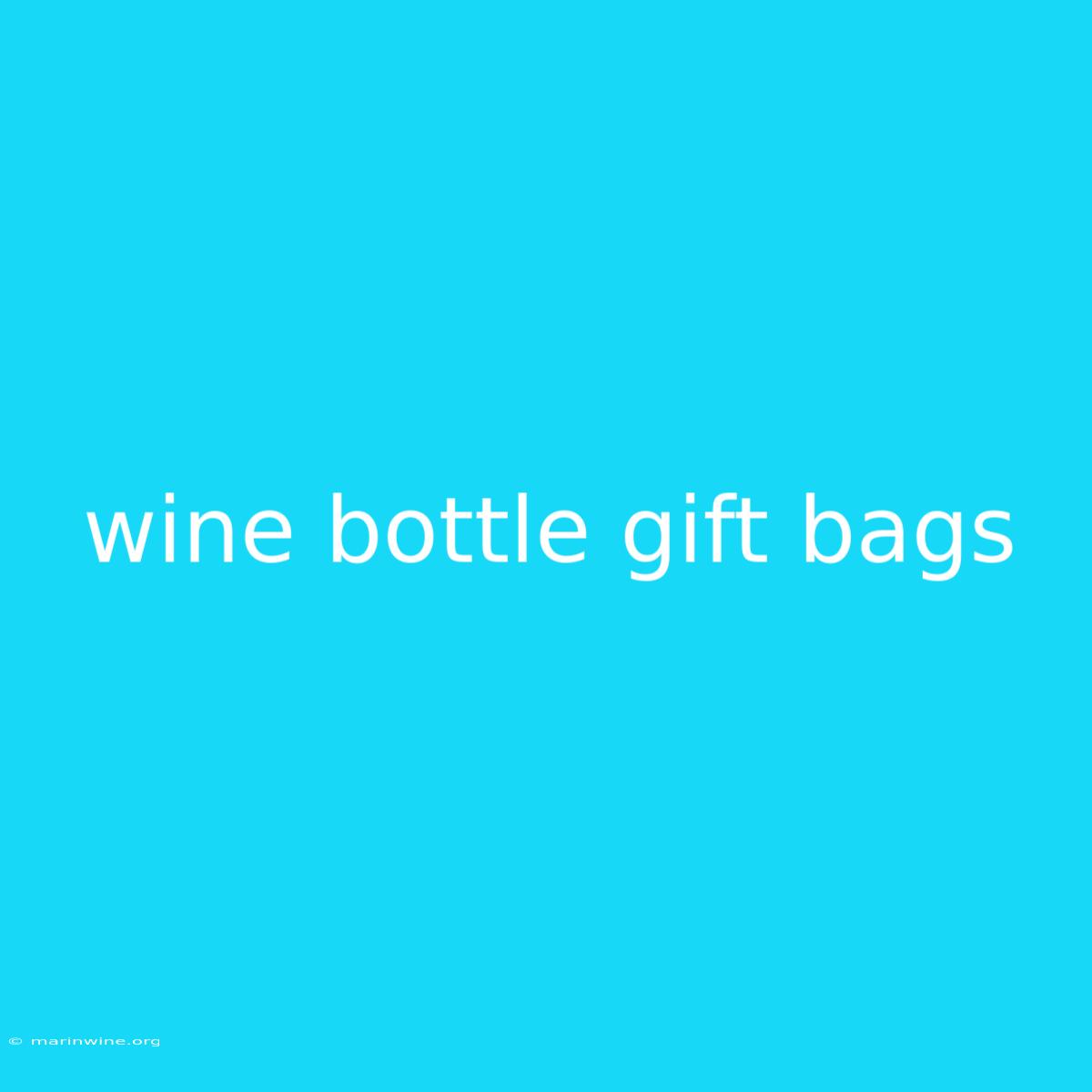 Wine Bottle Gift Bags