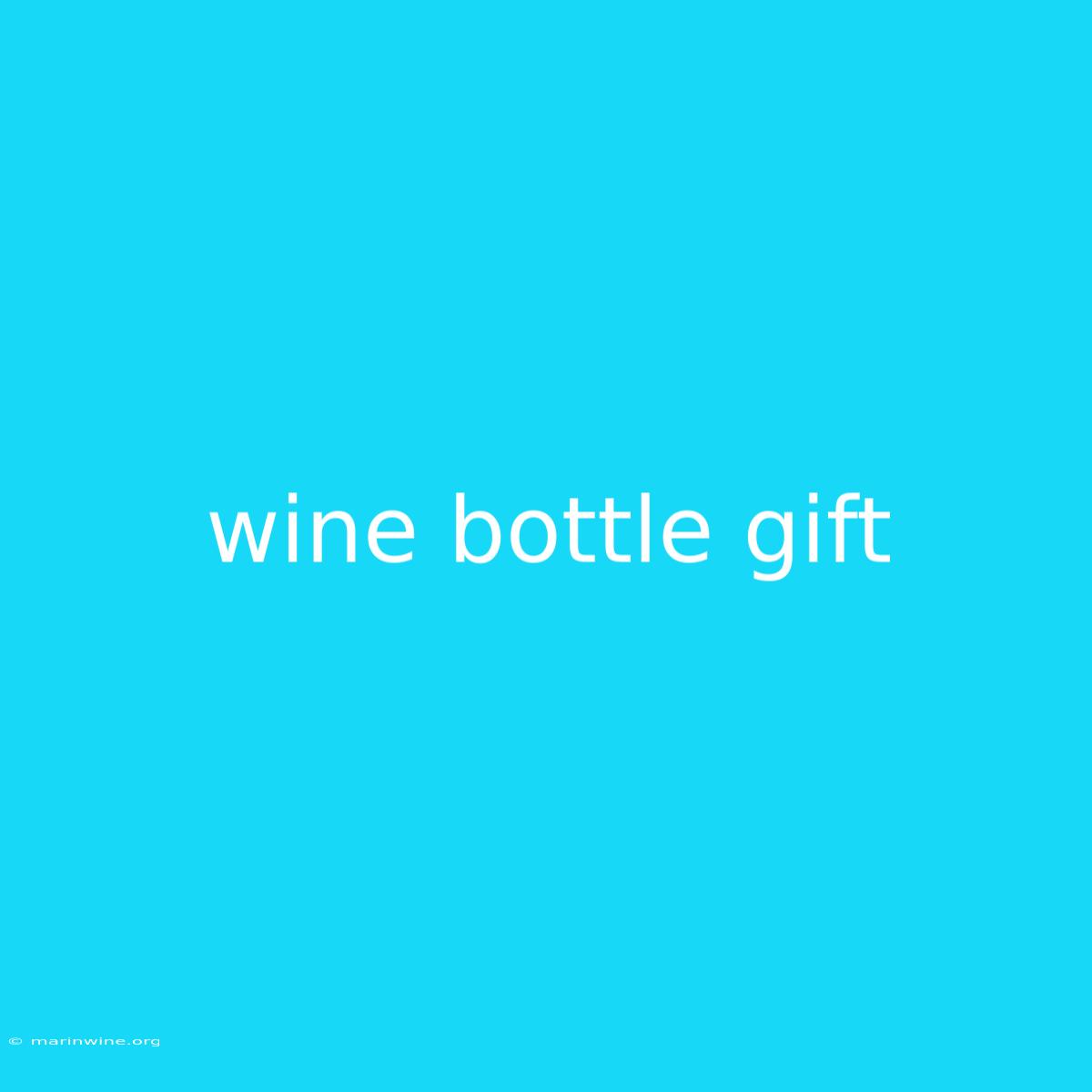 Wine Bottle Gift