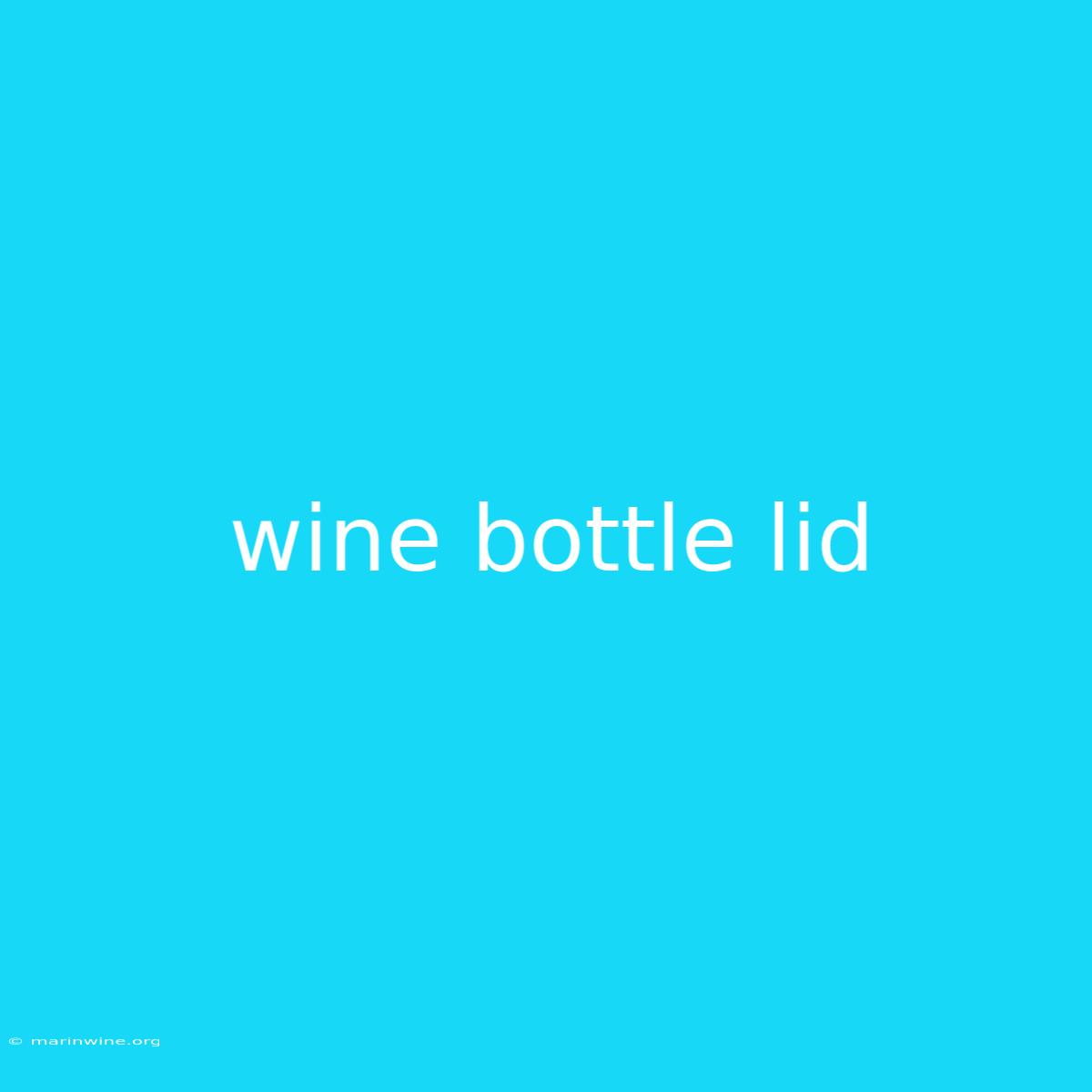 Wine Bottle Lid