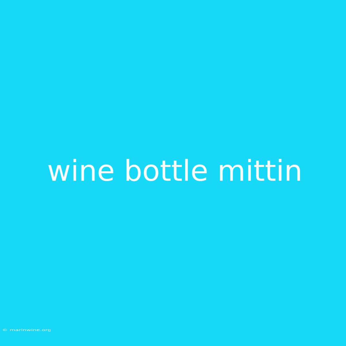 Wine Bottle Mittin