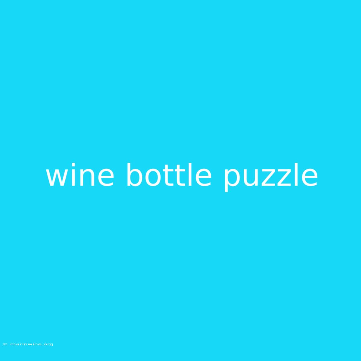 Wine Bottle Puzzle