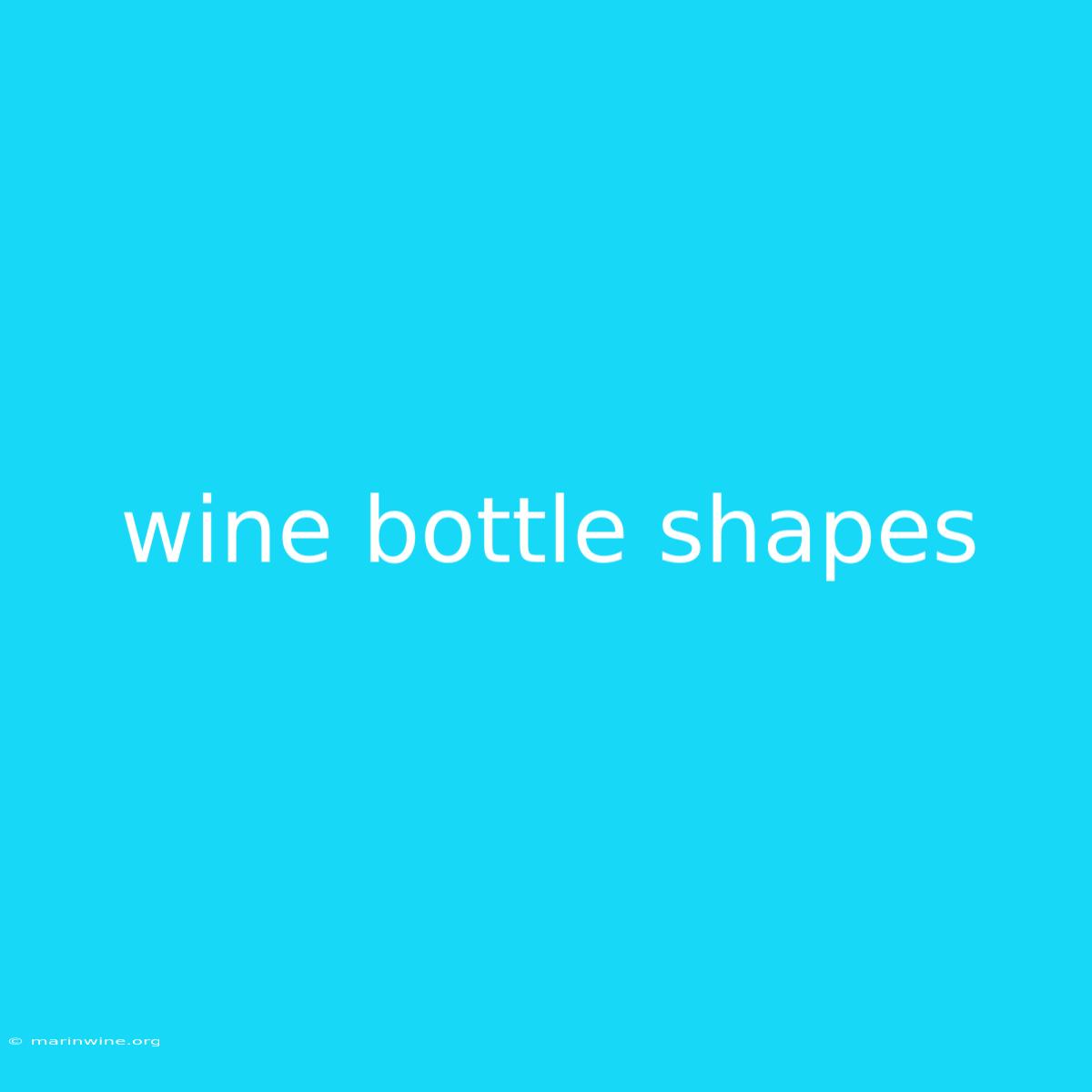 Wine Bottle Shapes