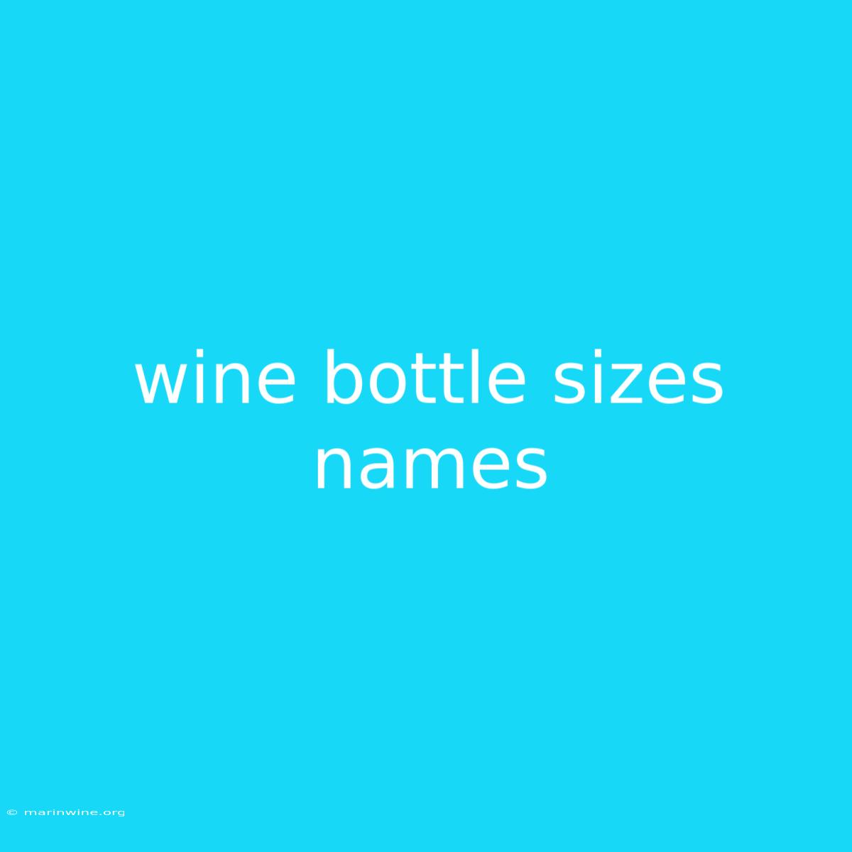 Wine Bottle Sizes Names