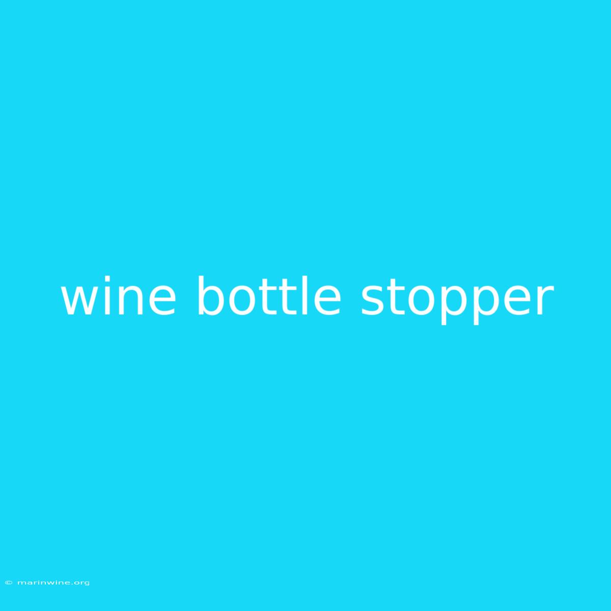 Wine Bottle Stopper