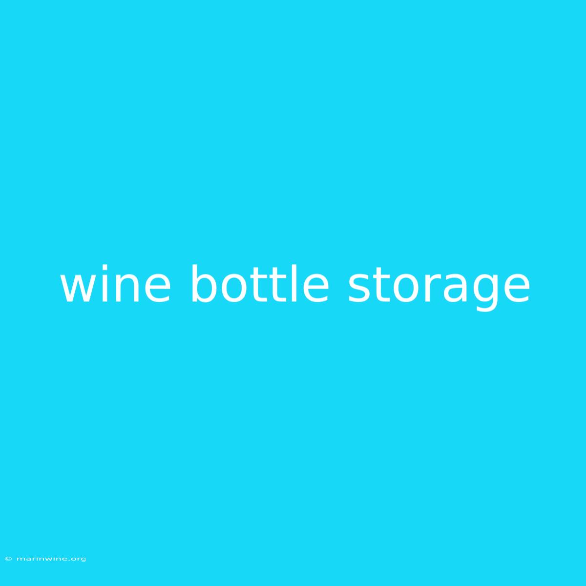 Wine Bottle Storage