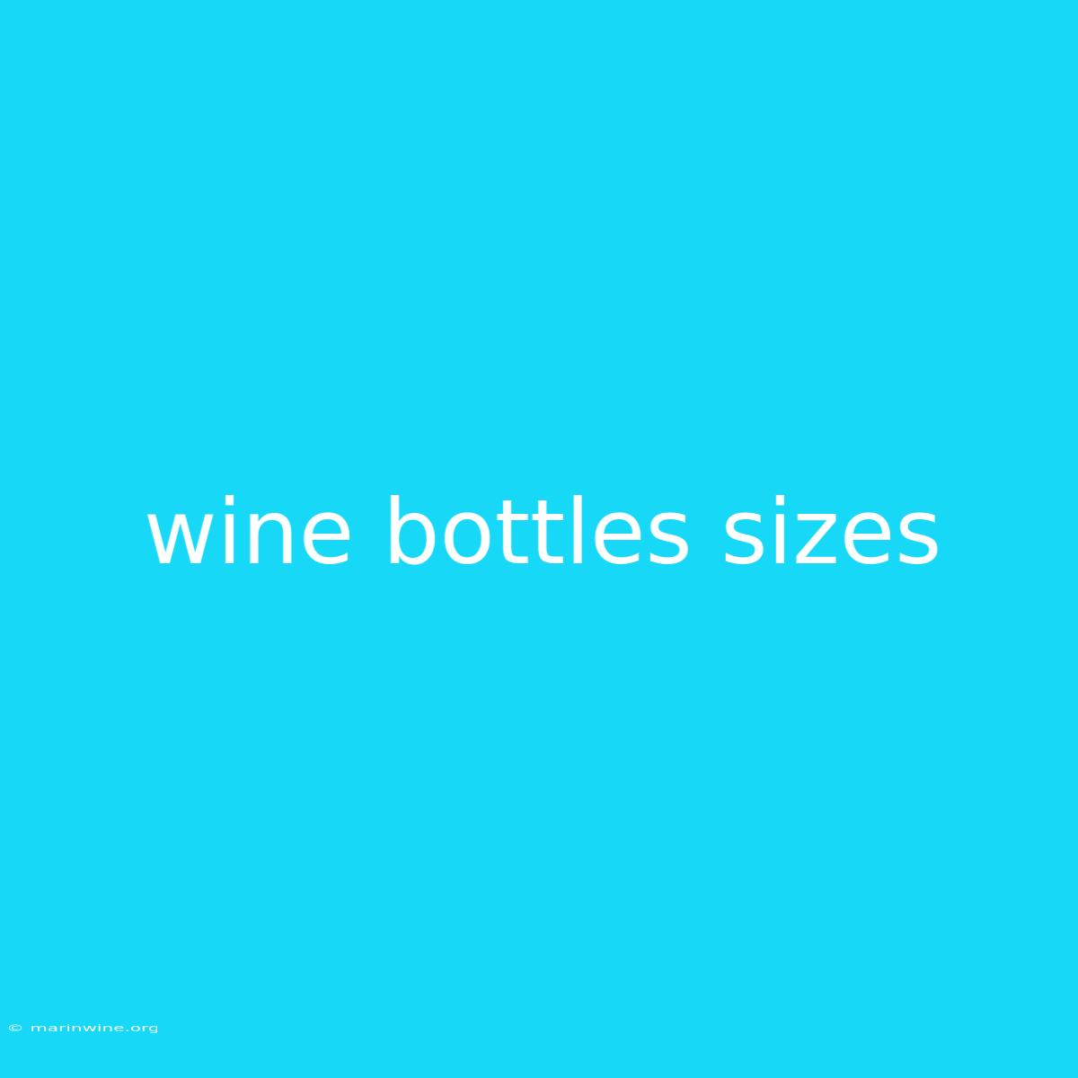 Wine Bottles Sizes