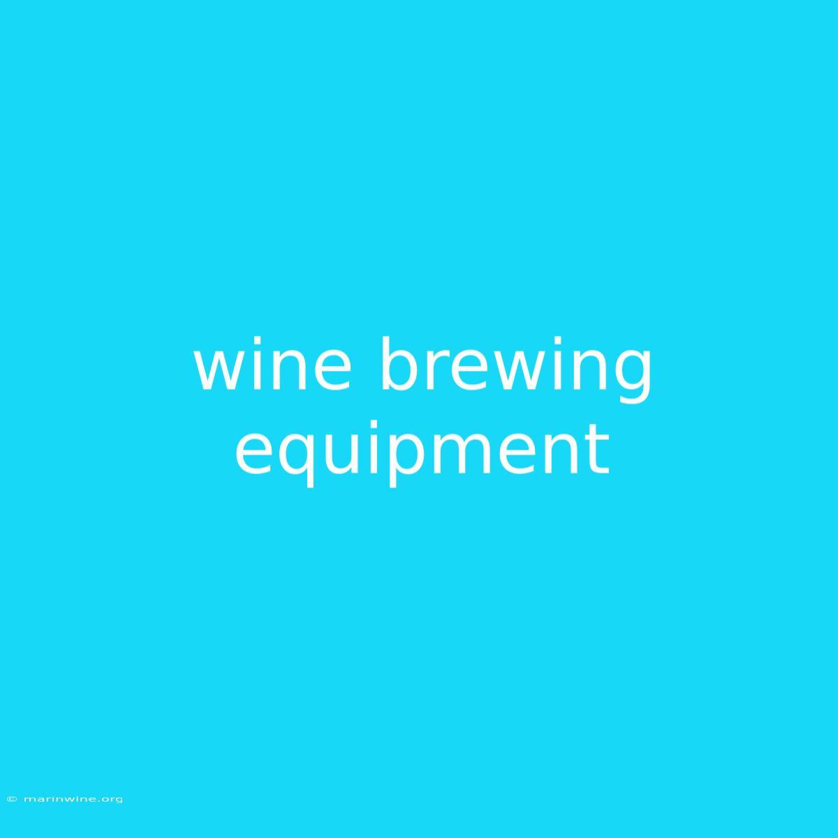 Wine Brewing Equipment