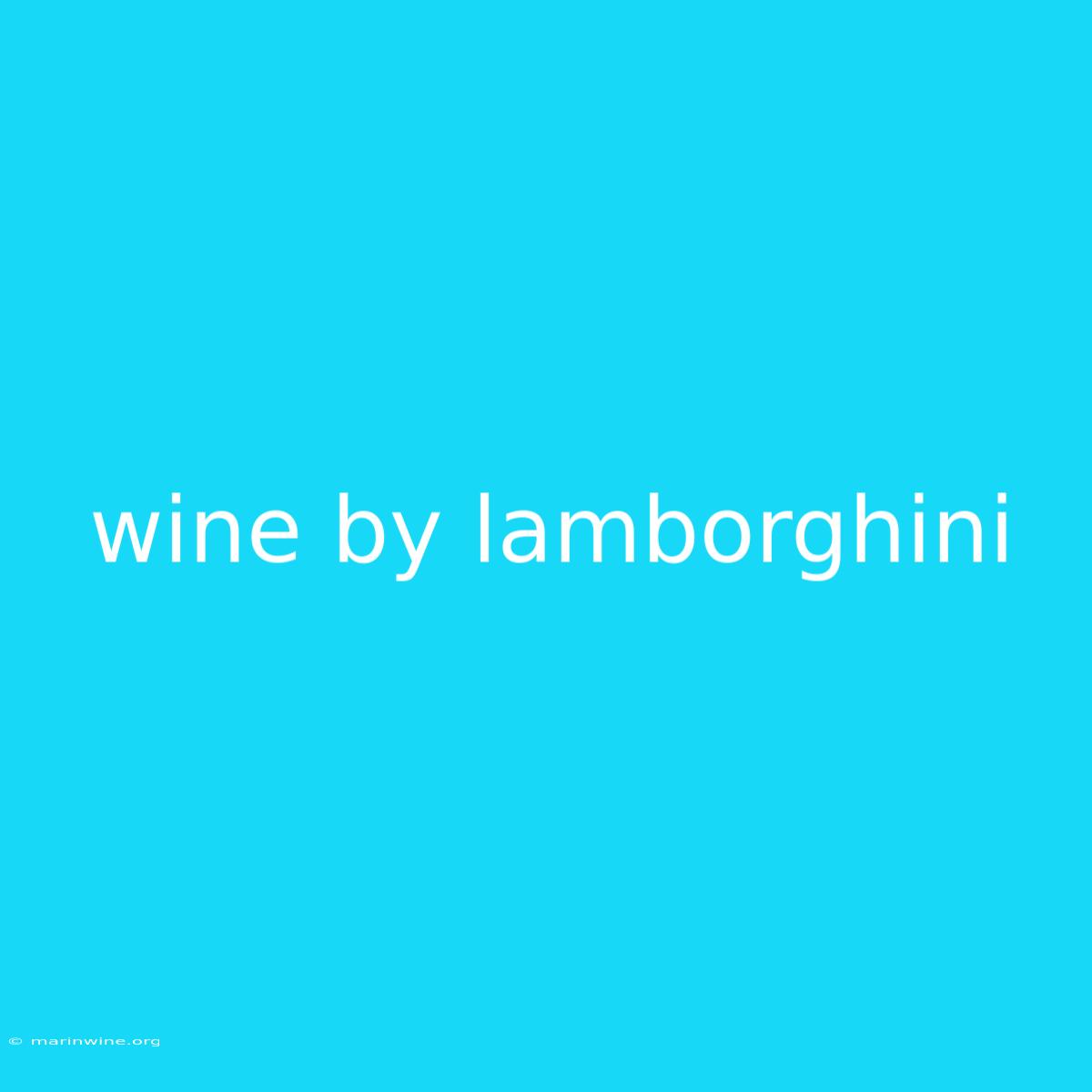 Wine By Lamborghini