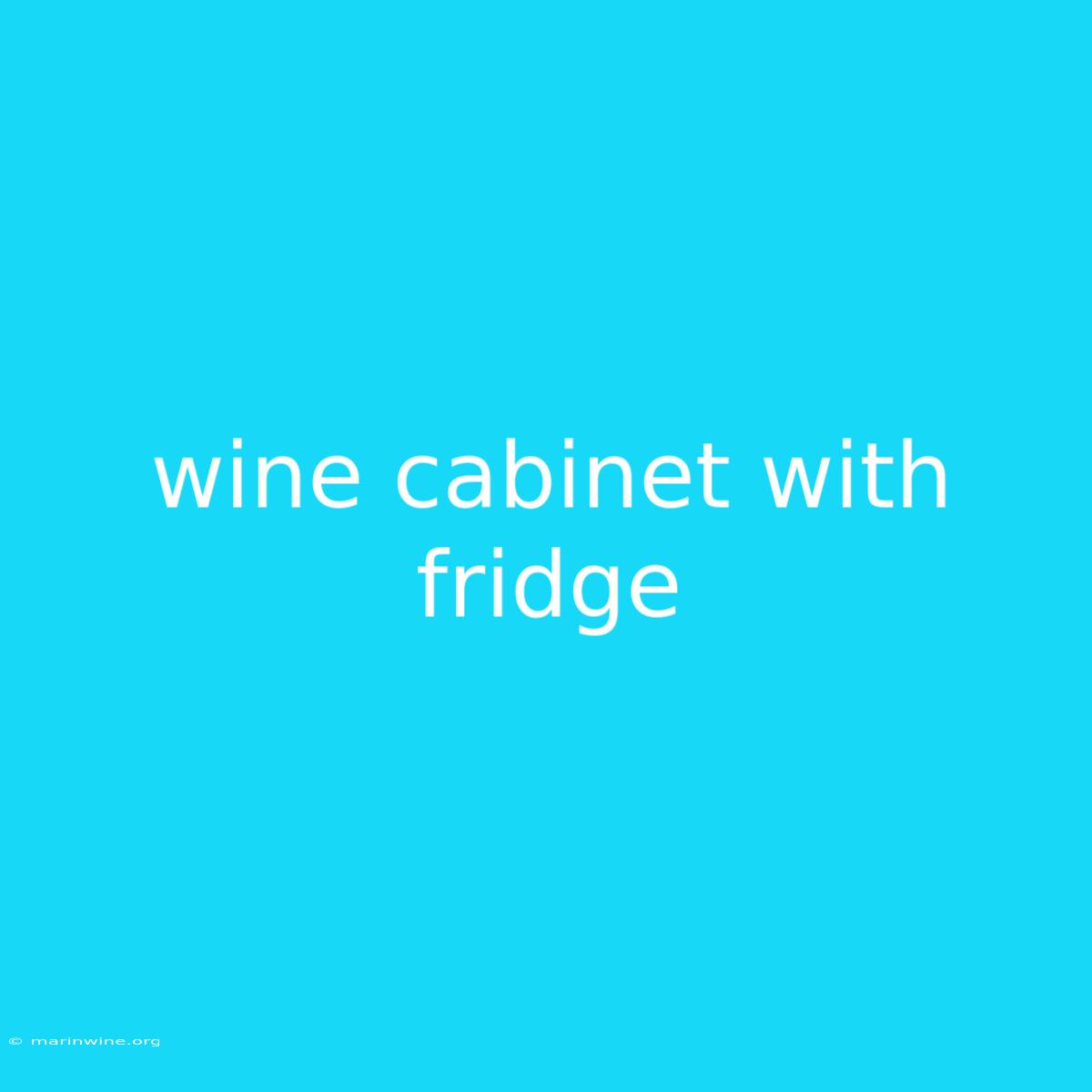 Wine Cabinet With Fridge