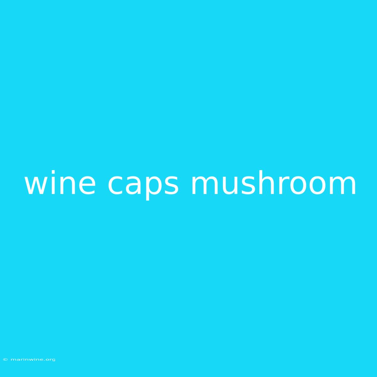 Wine Caps Mushroom