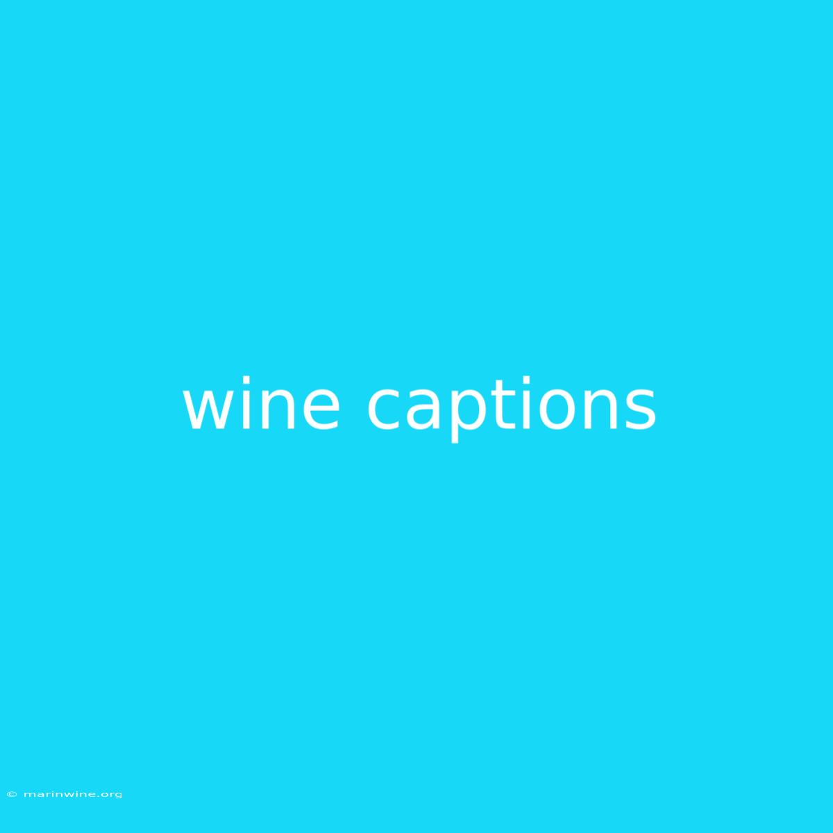 Wine Captions