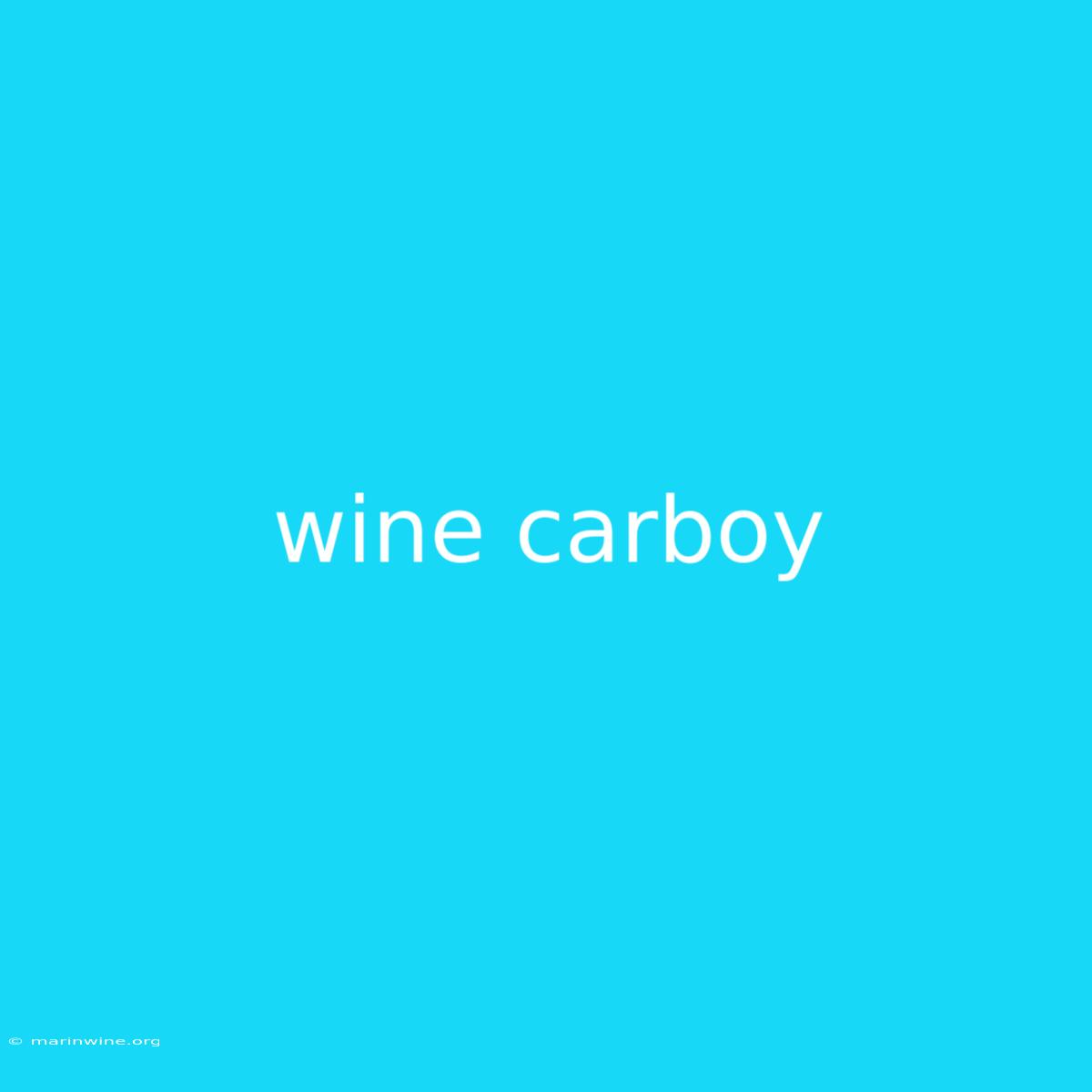 Wine Carboy