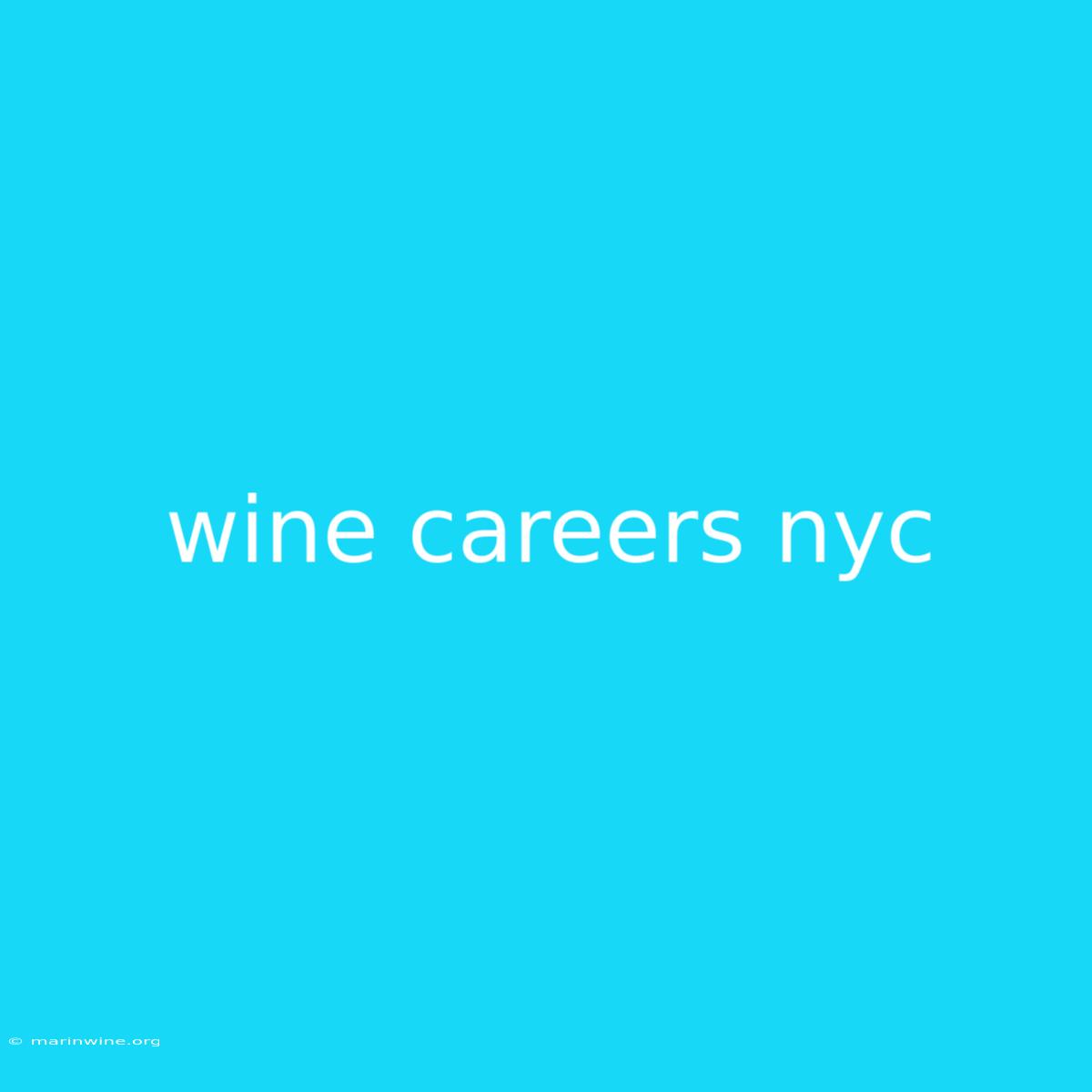 Wine Careers Nyc