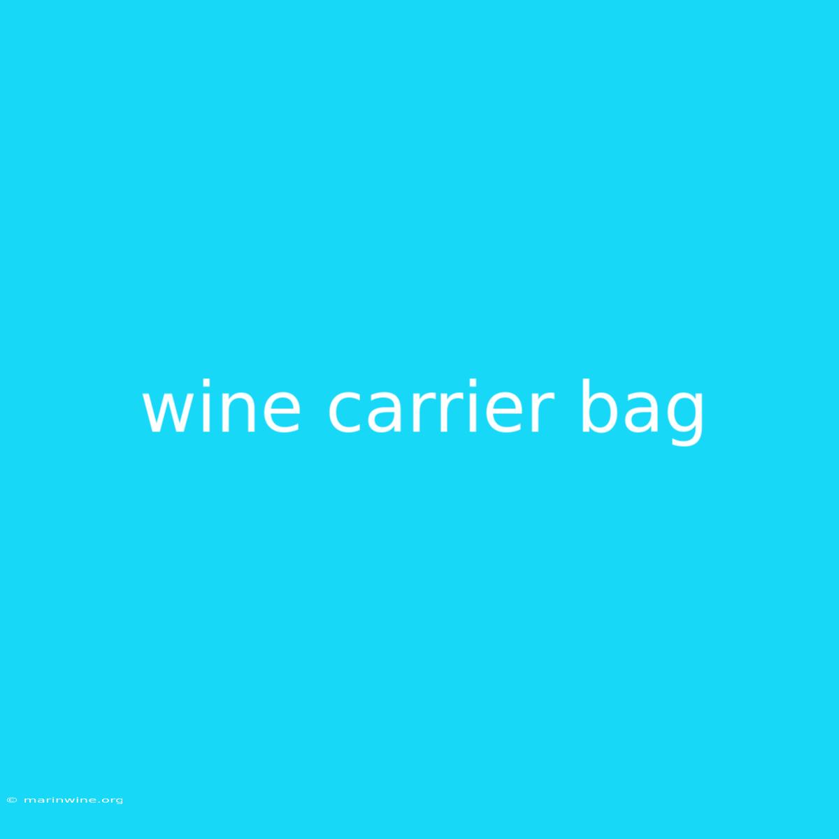 Wine Carrier Bag