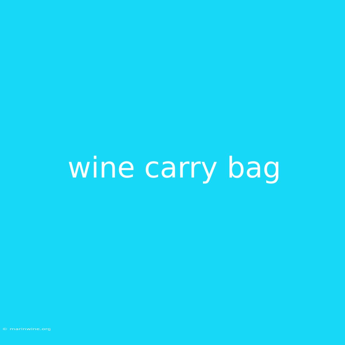 Wine Carry Bag