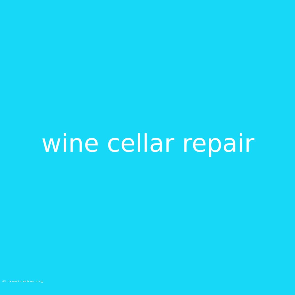 Wine Cellar Repair