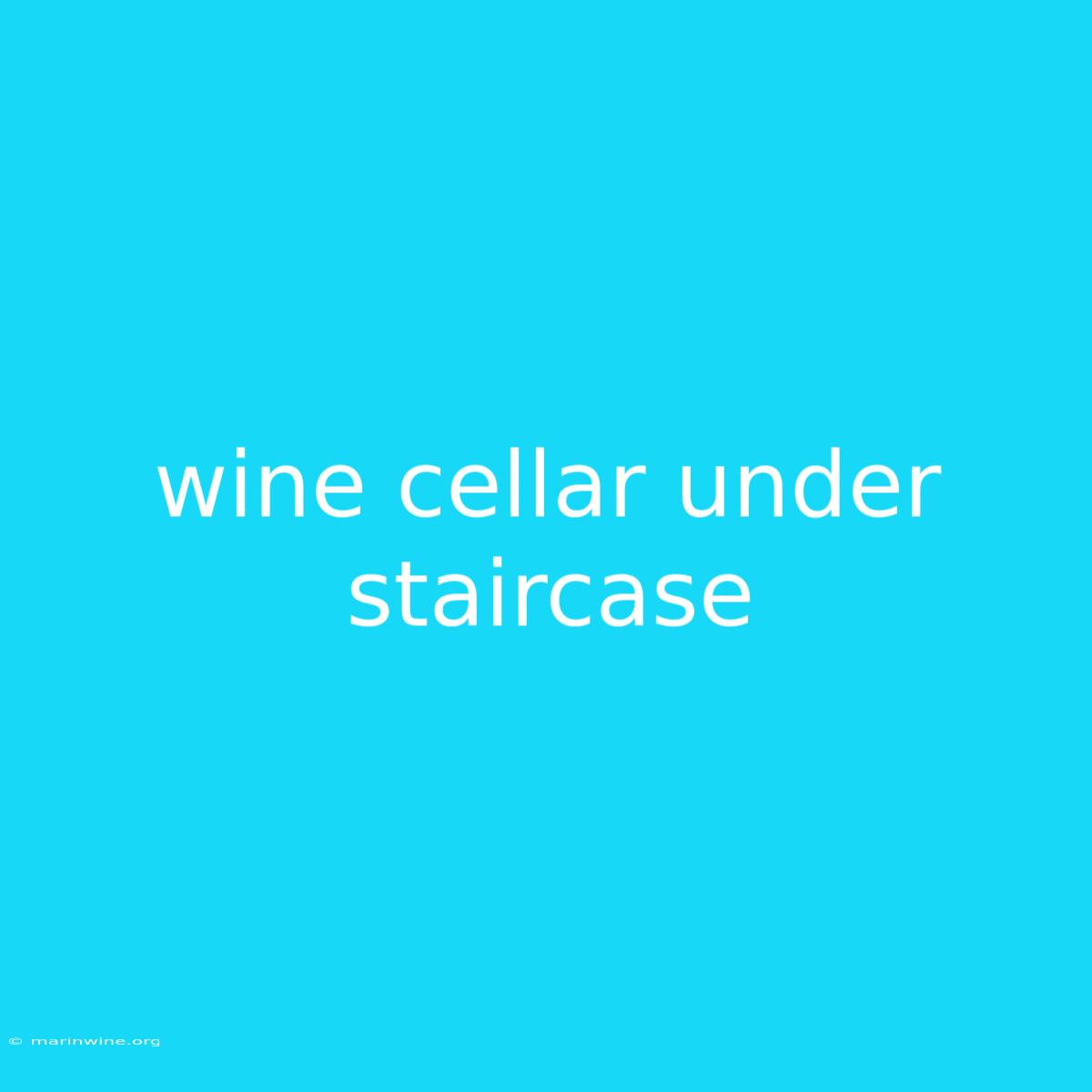 Wine Cellar Under Staircase