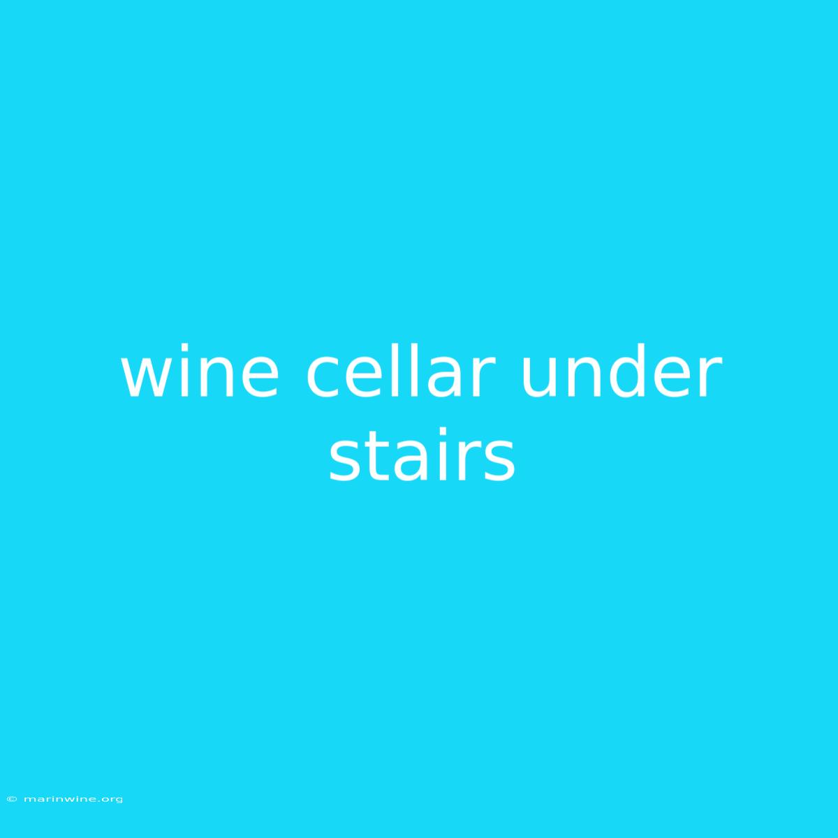 Wine Cellar Under Stairs