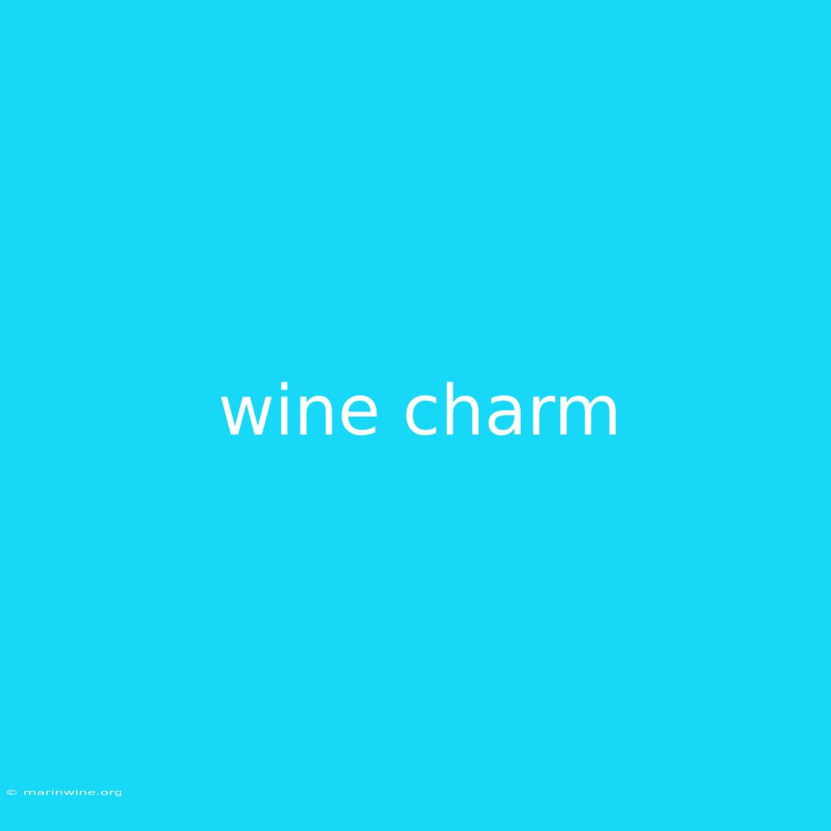 Wine Charm