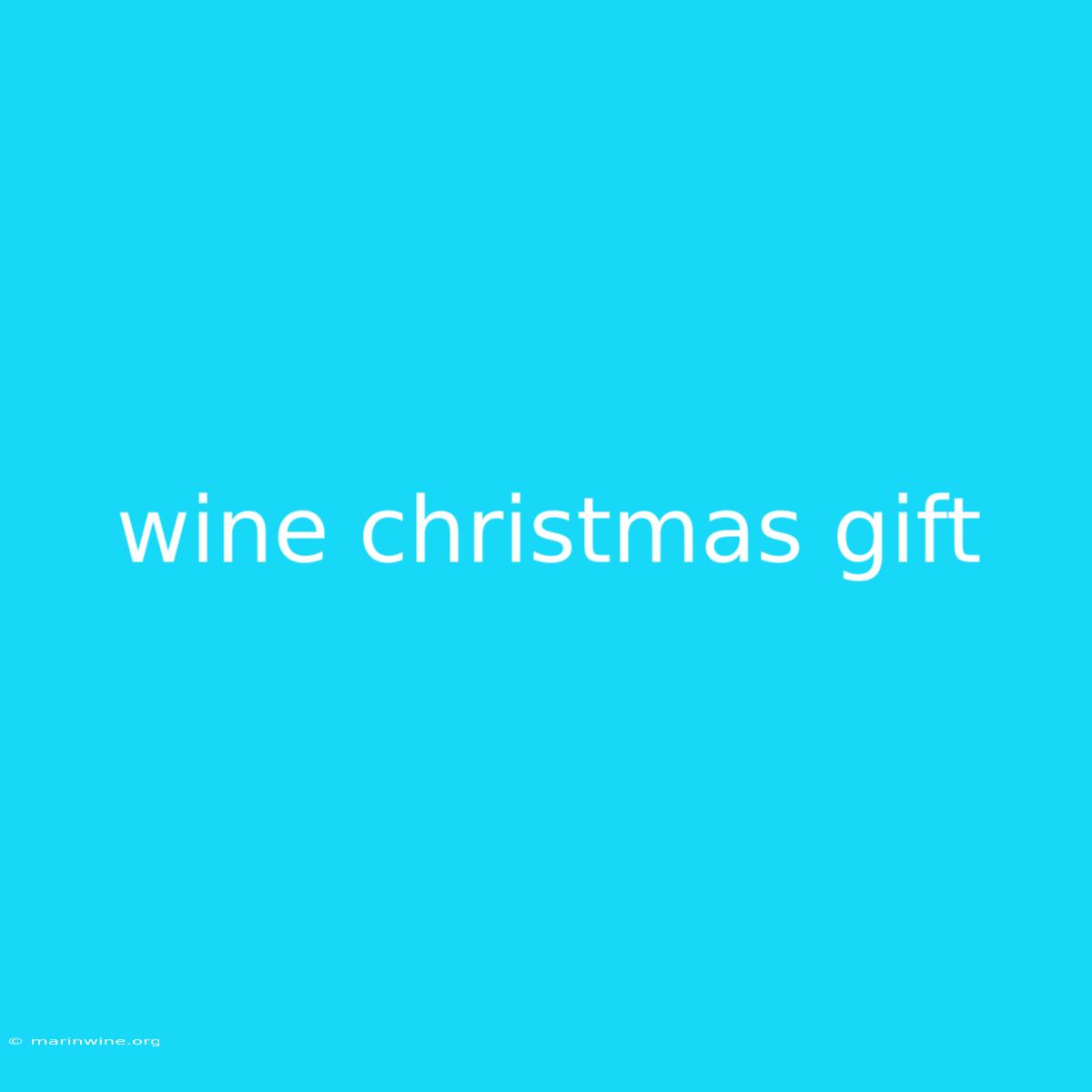 Wine Christmas Gift