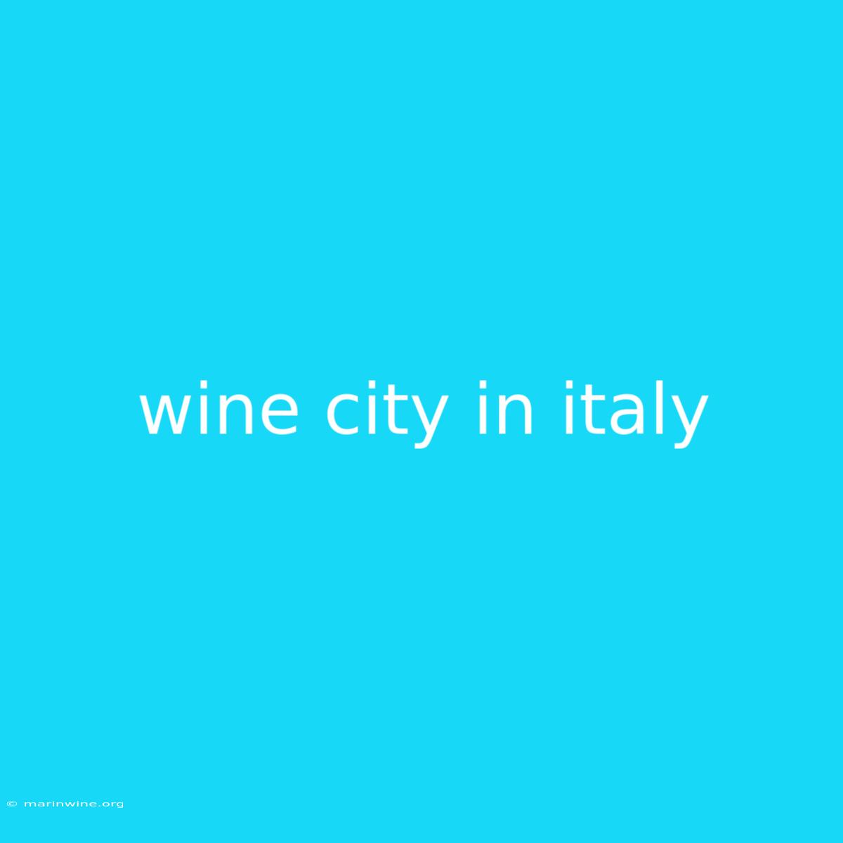 Wine City In Italy