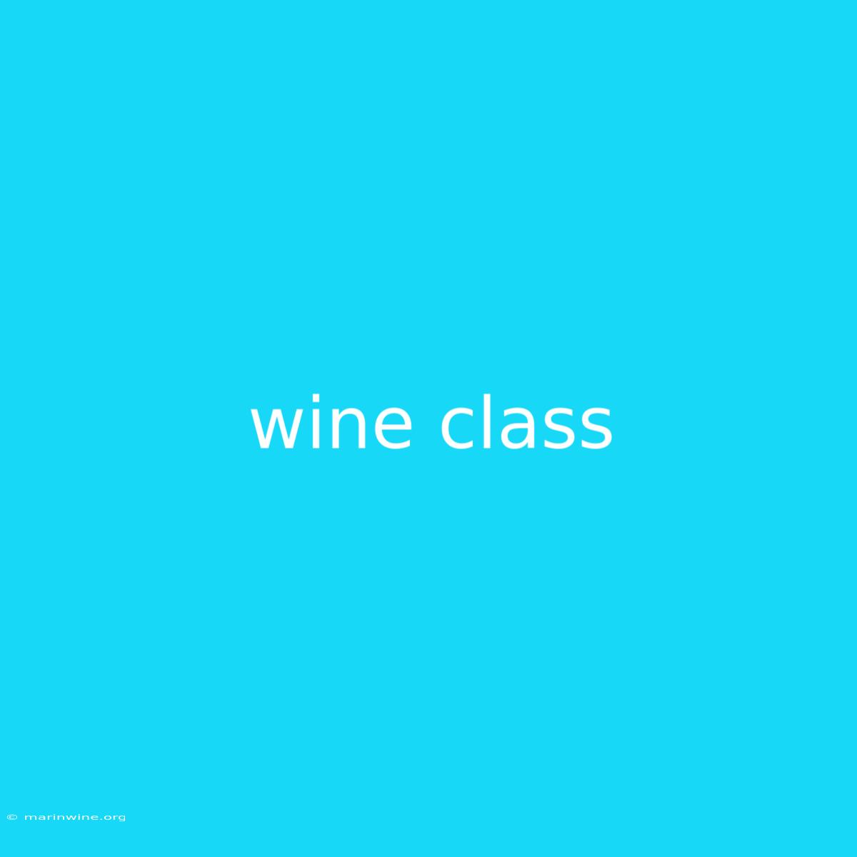 Wine Class