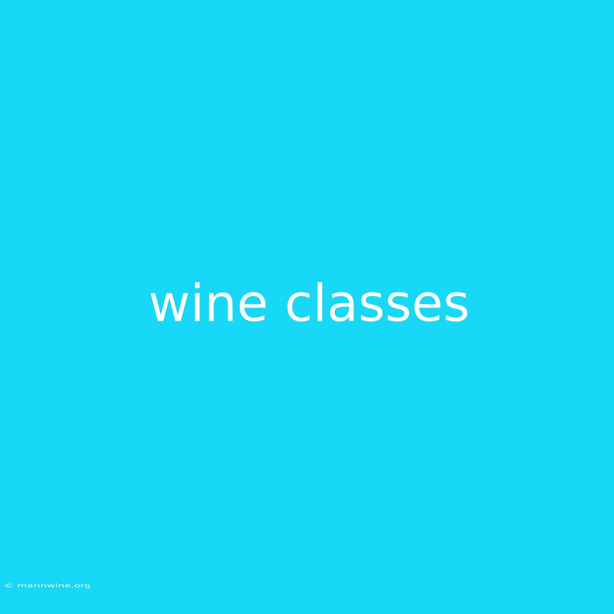 Wine Classes